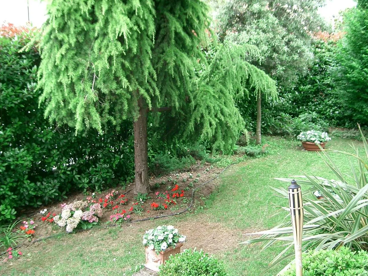 Garden in B&B Casa Boscolo