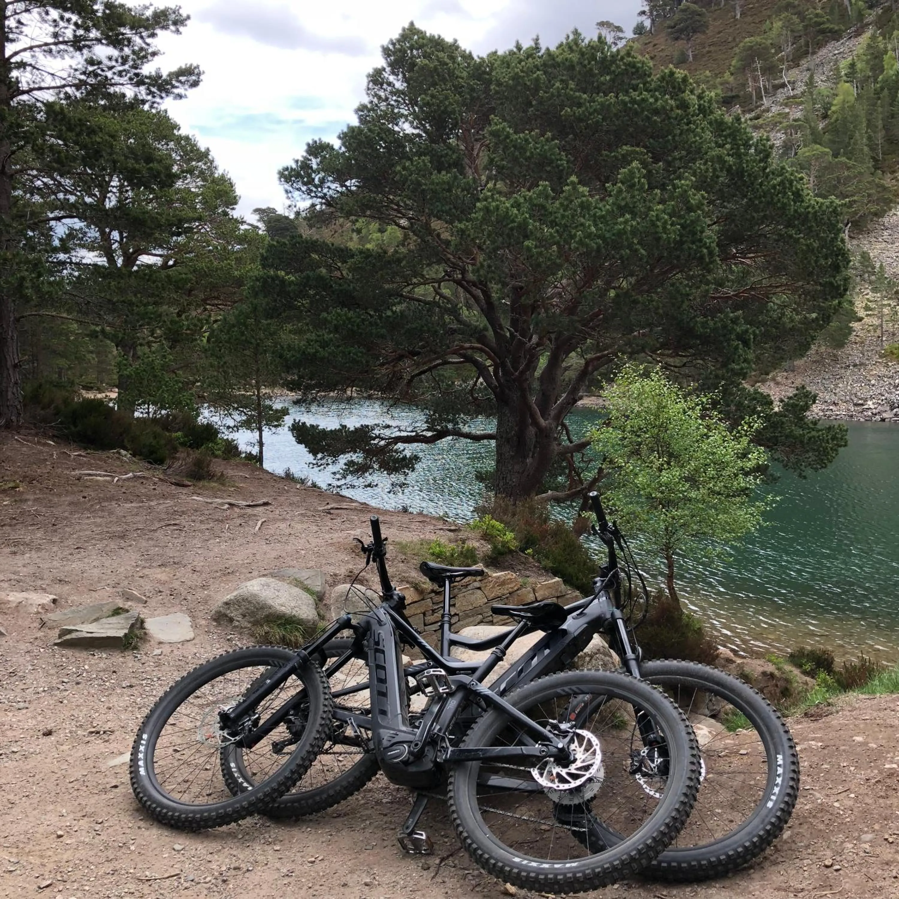 Natural landscape in Ravenscraig Guest House