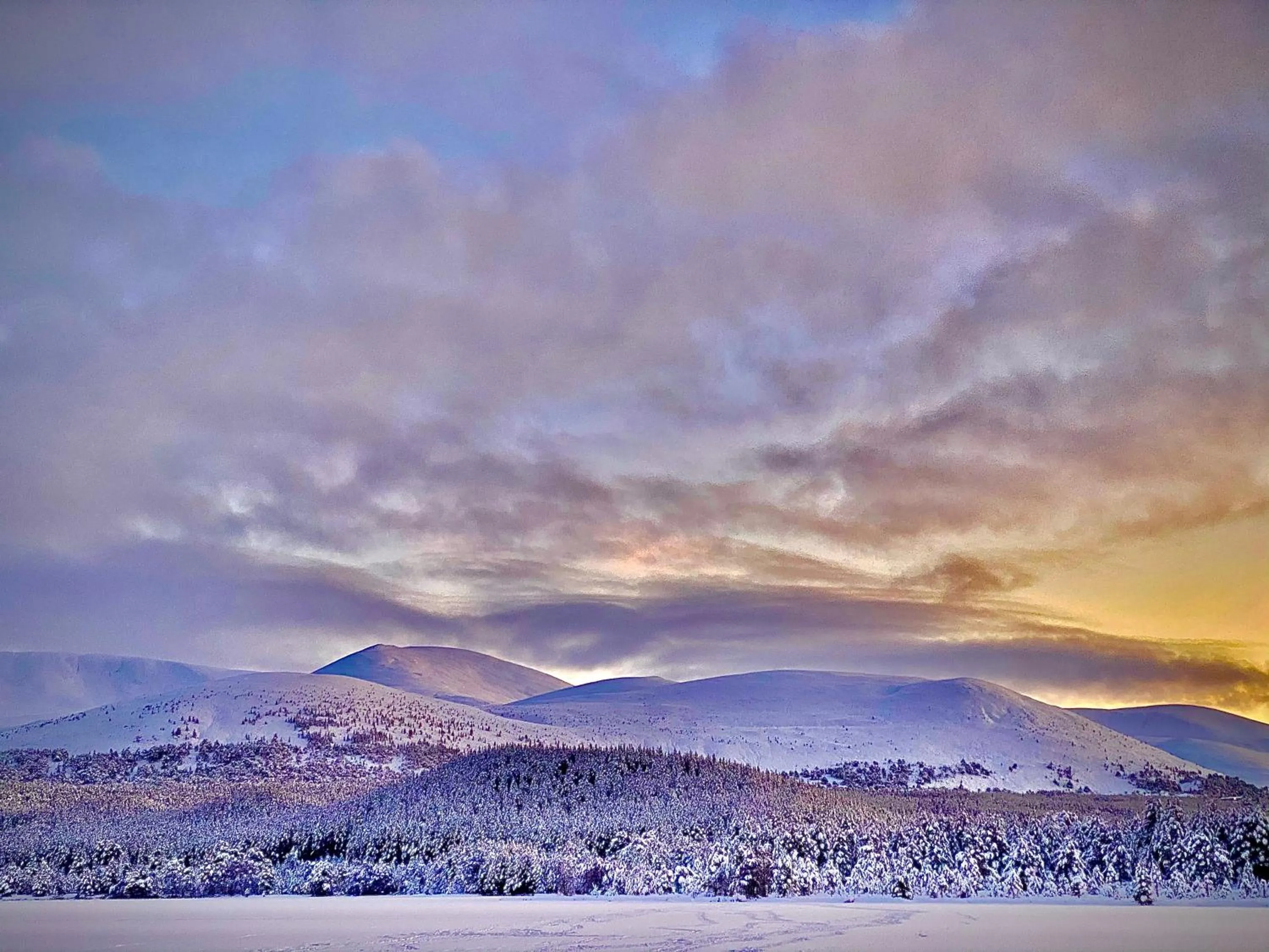 Ravenscraig Guest House