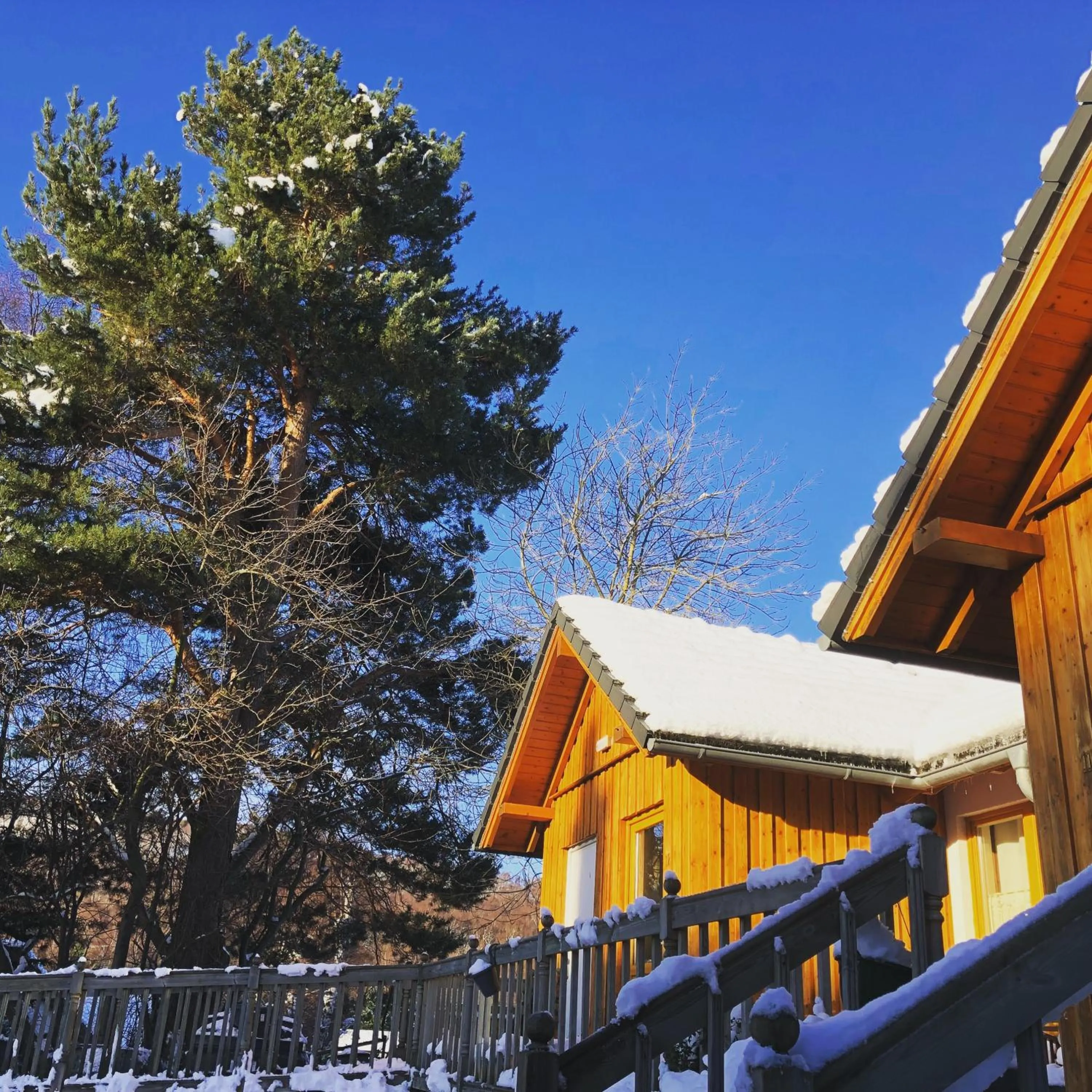 Ravenscraig Guest House