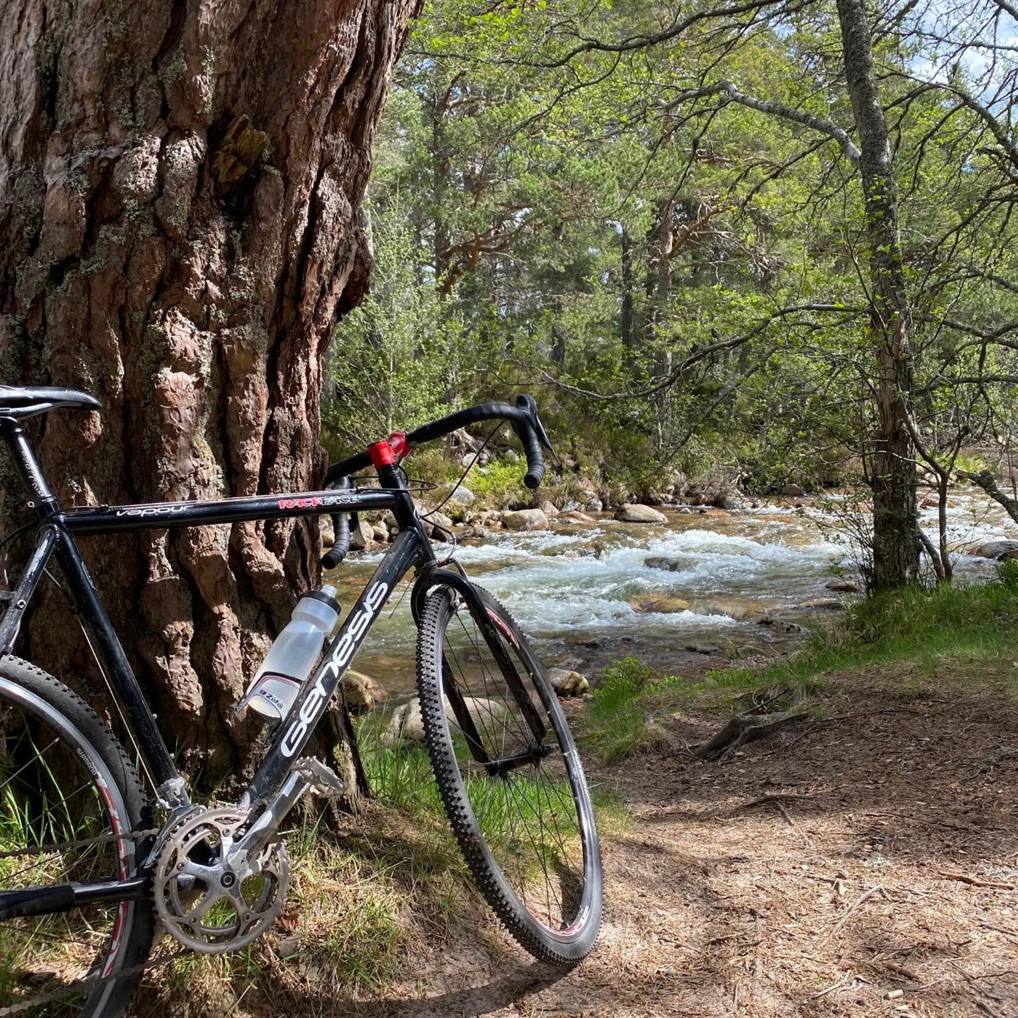 Ravenscraig Guest House