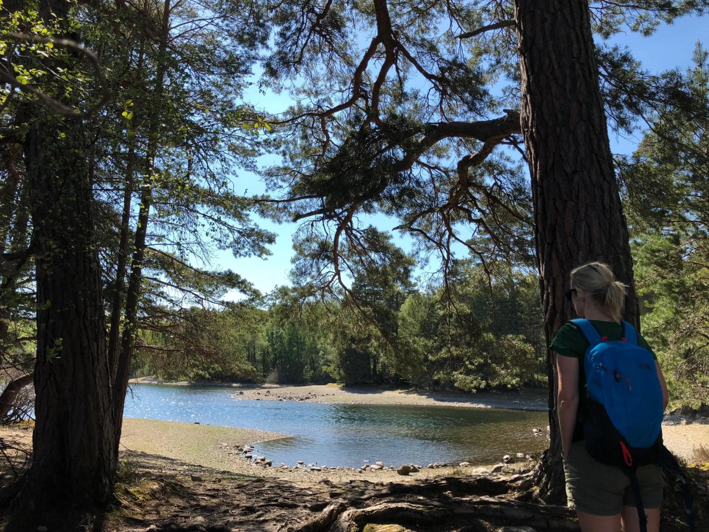 Ravenscraig Guest House