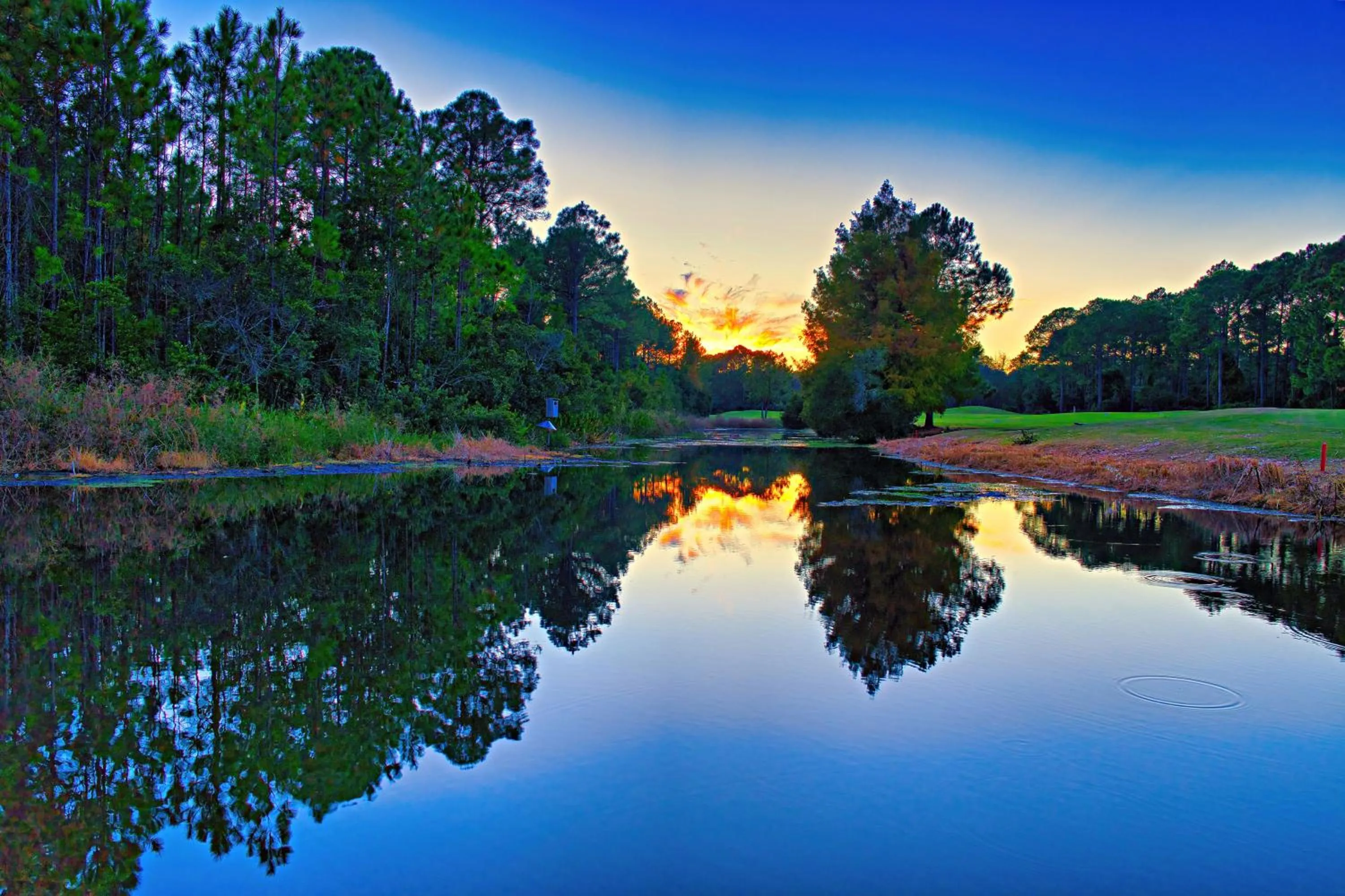 Natural landscape in St James Bay Golf & Pickleball Resort
