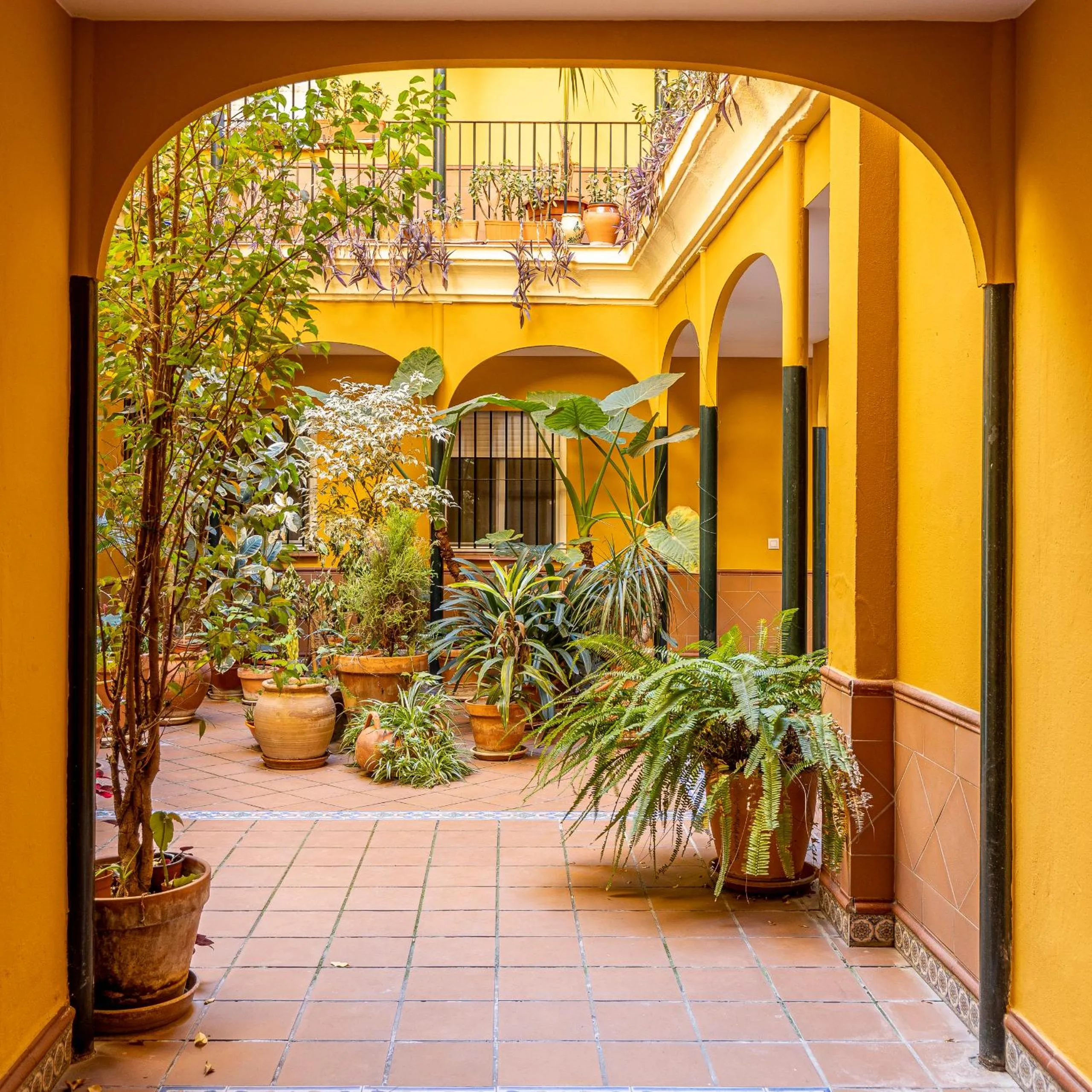La casa de Jacobo