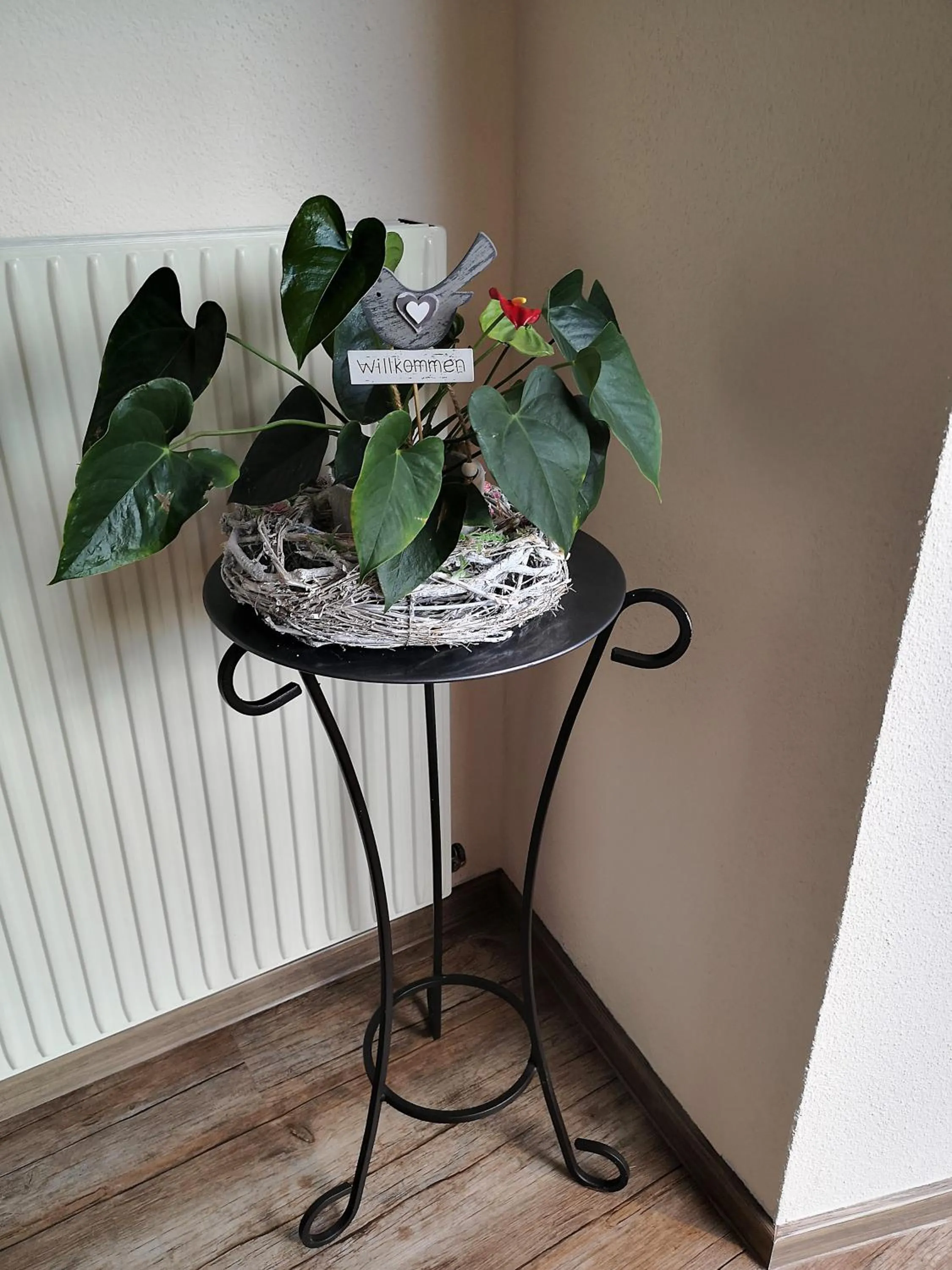 Decorative detail in Apart Hotel Ideal