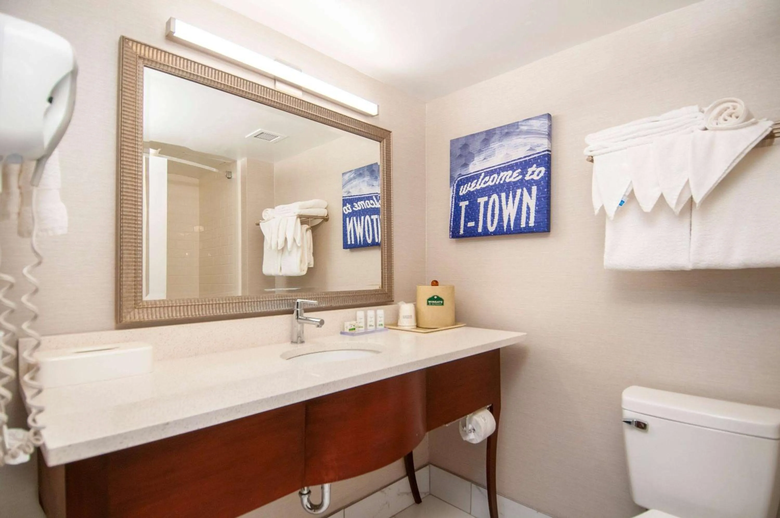 Bathroom in Wingate by Wyndham Tuscaloosa