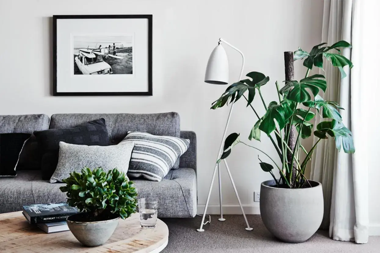 Living room in Cumberland Lorne Resort Living room in Cumberland Lorne Resort