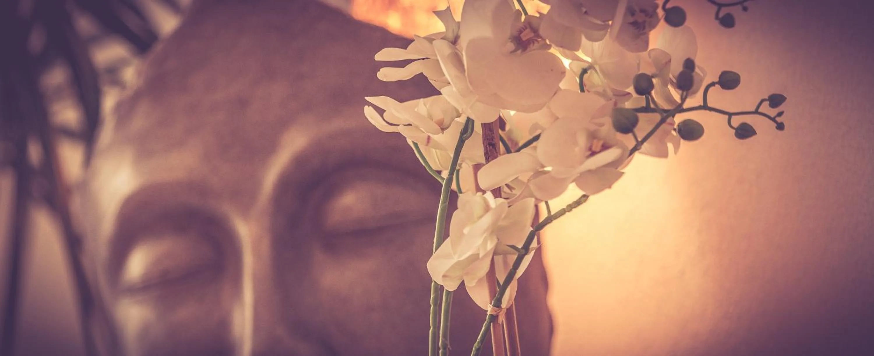 Spa and wellness centre/facilities in DAS HÜRNER