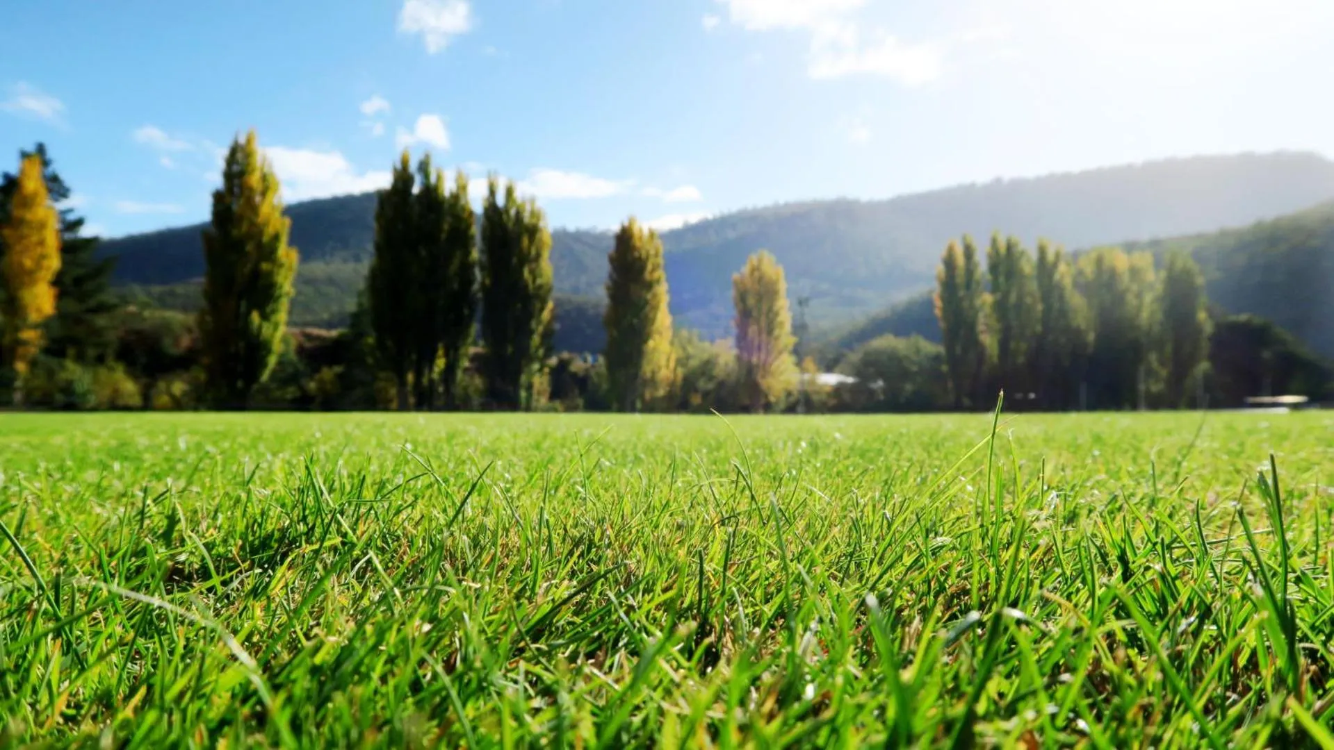 Natural landscape in New Norfolk Junction Motel