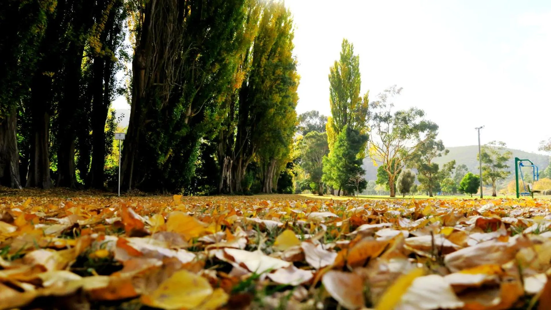 Natural landscape in New Norfolk Junction Motel