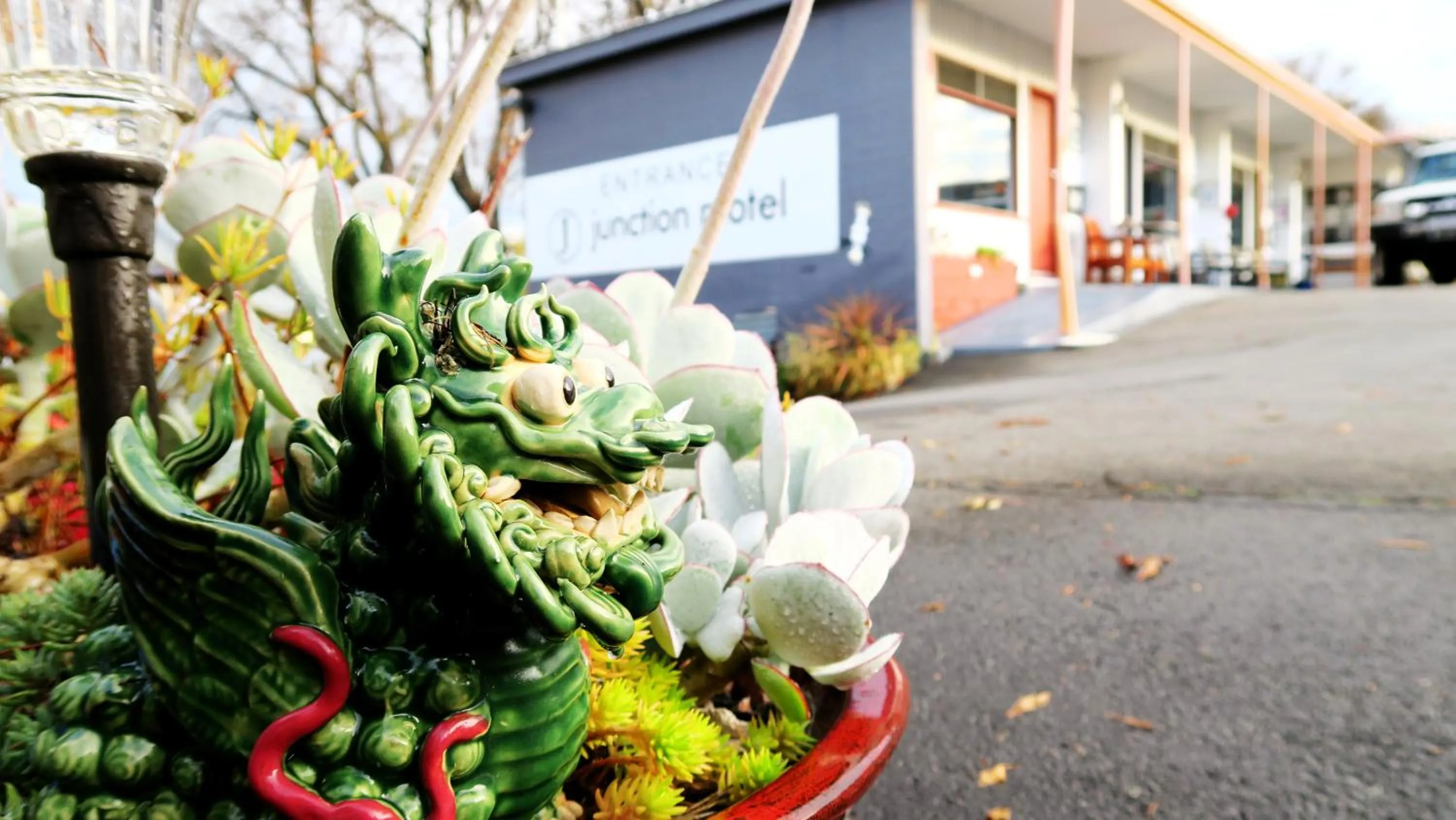 Garden in New Norfolk Junction Motel