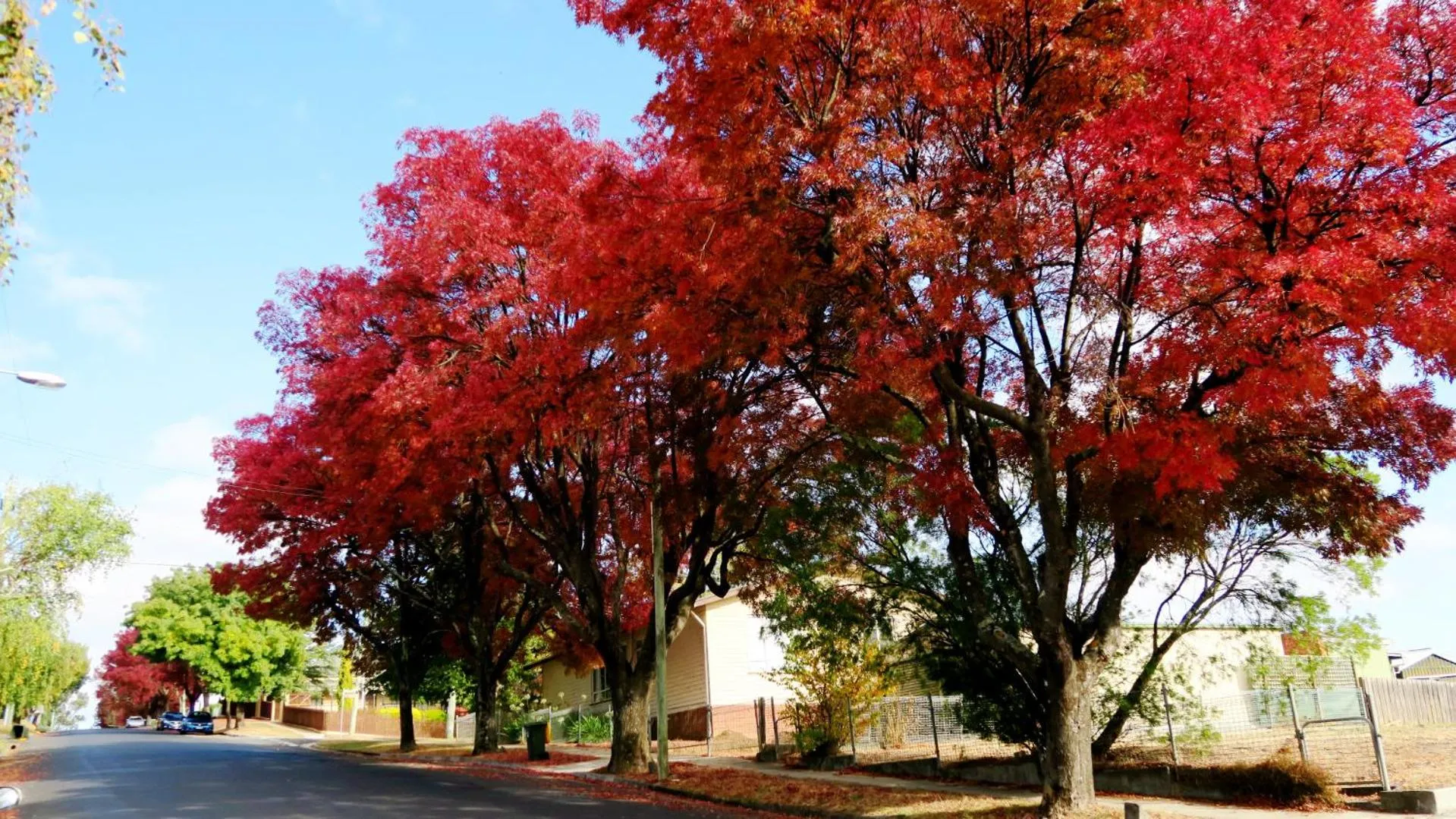 Neighbourhood in New Norfolk Junction Motel