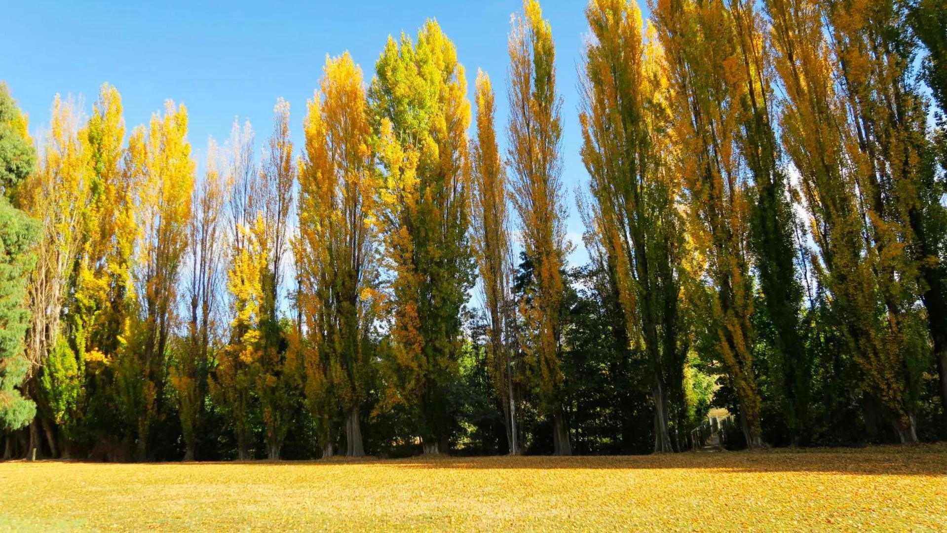 New Norfolk Junction Motel