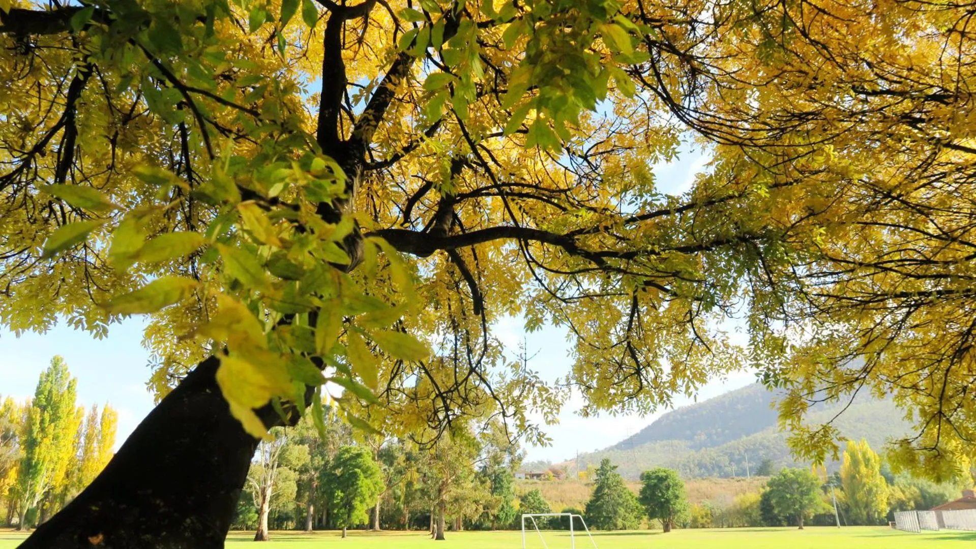 Natural landscape in New Norfolk Junction Motel