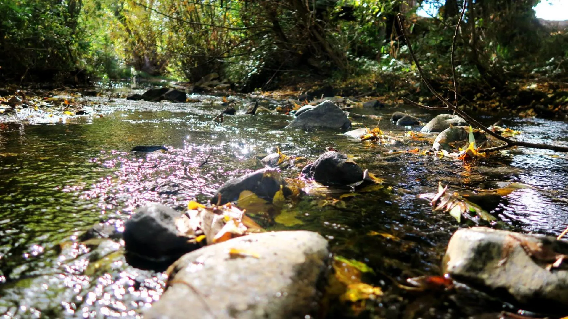 Natural landscape in New Norfolk Junction Motel