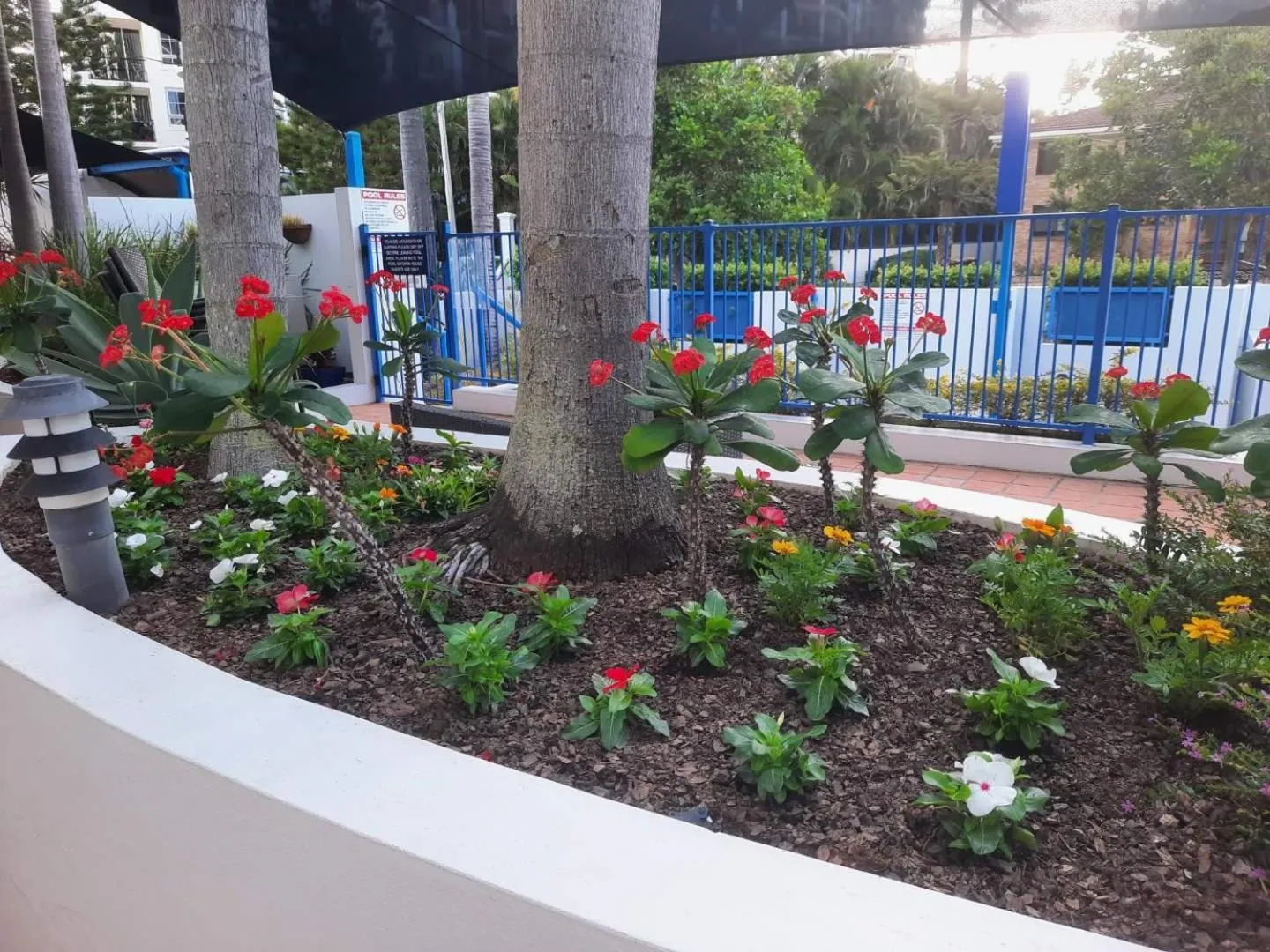 Garden in Surfers Beach Resort One