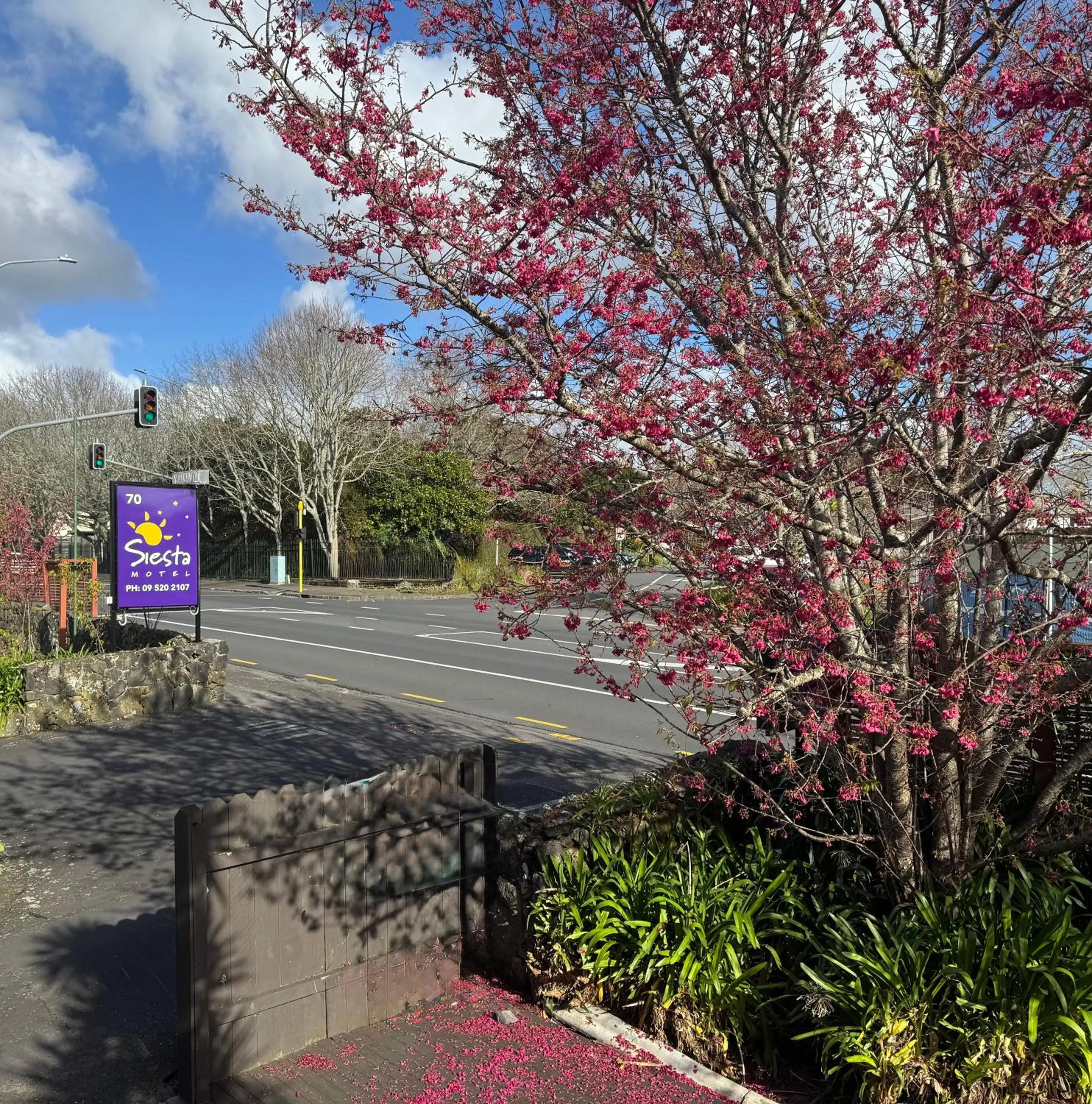Property building in Siesta Motel