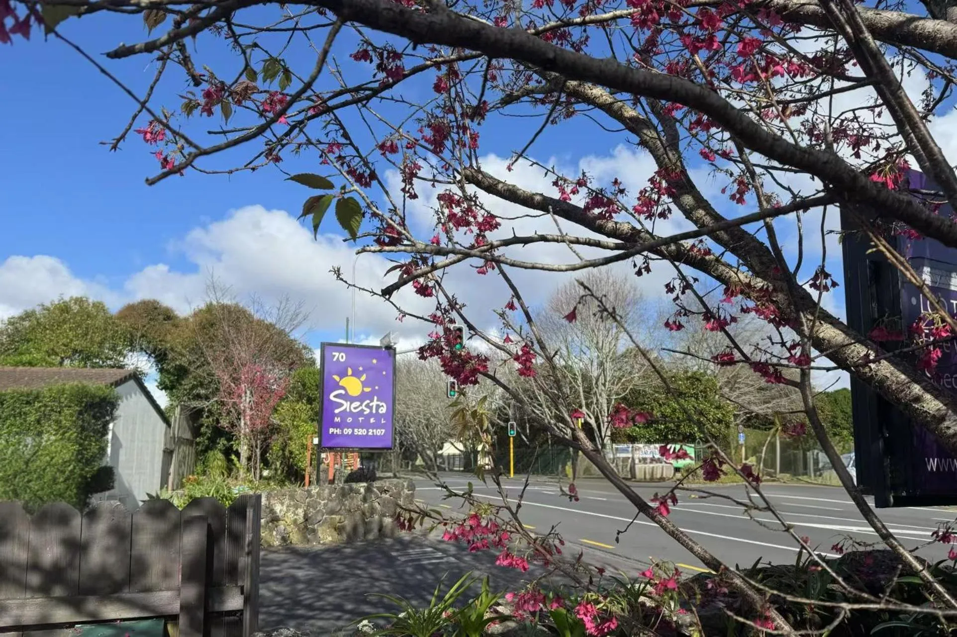 Property building in Siesta Motel