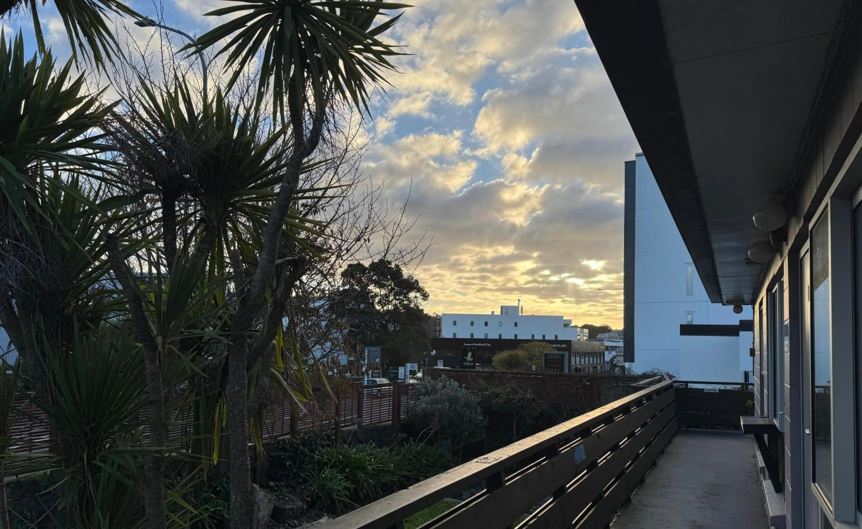 View (from property/room) in Siesta Motel