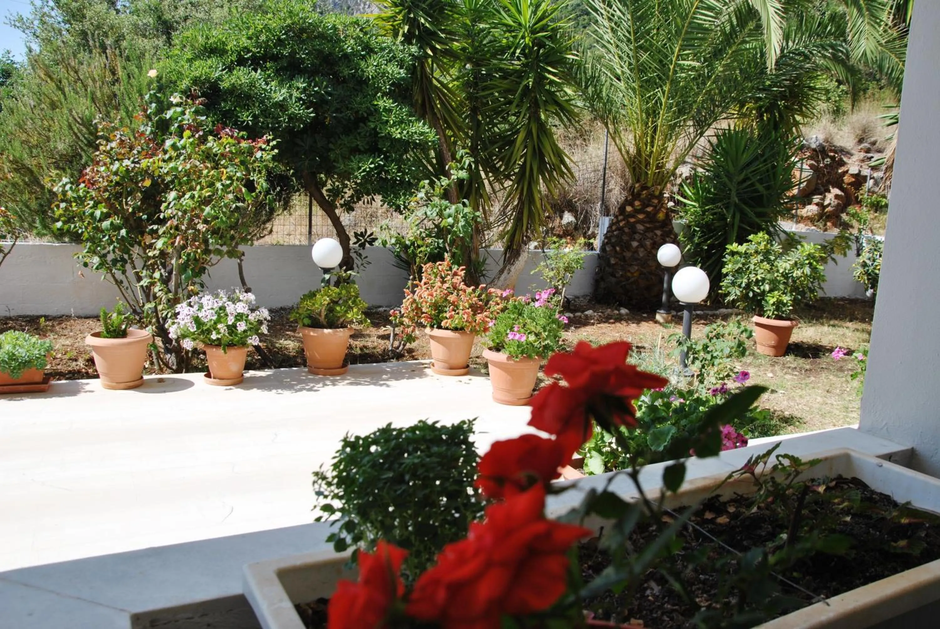 Filoxenia Hotel & Apartments