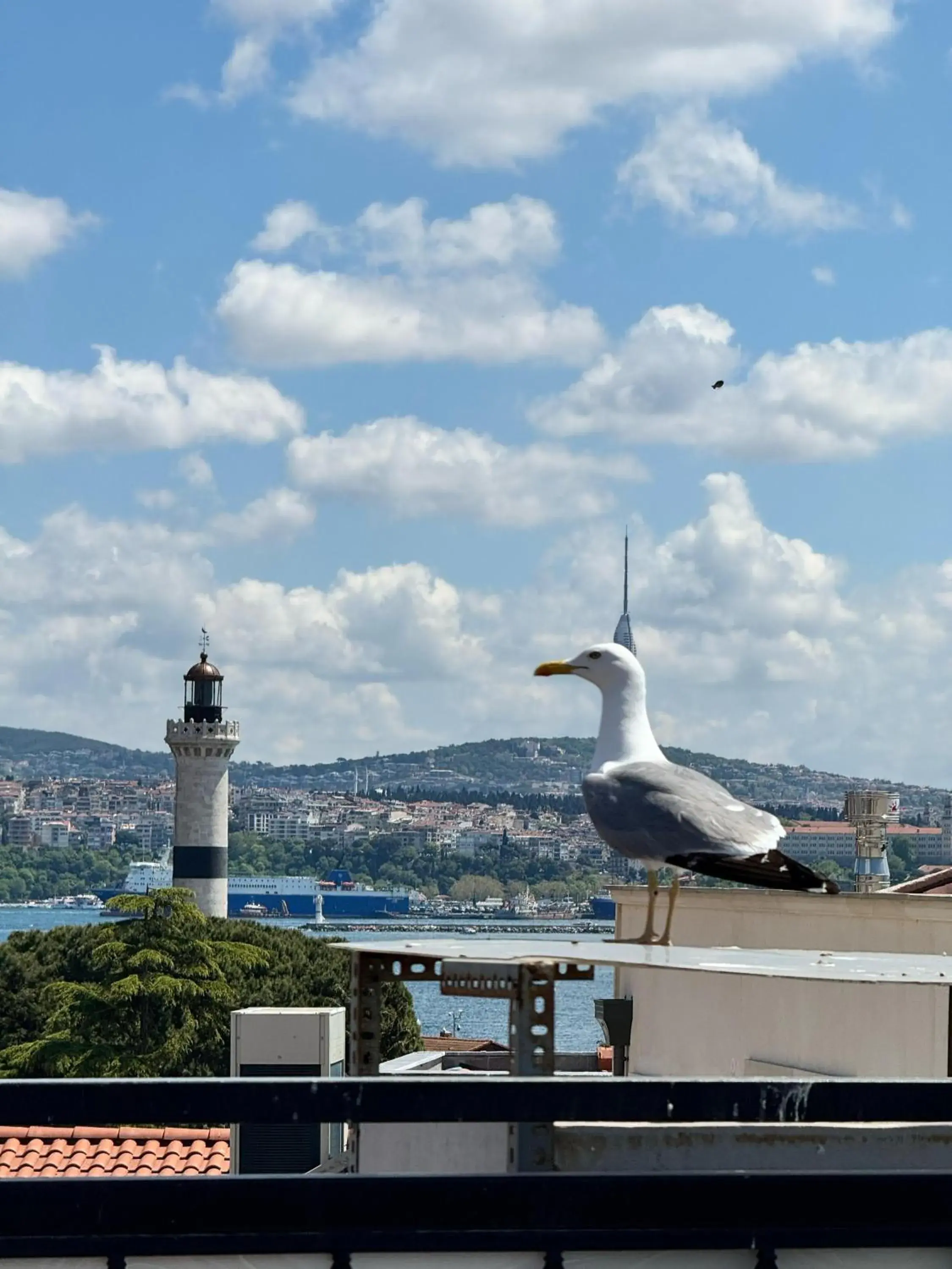 Hotel Ipekyolu Hotel Ipekyolu