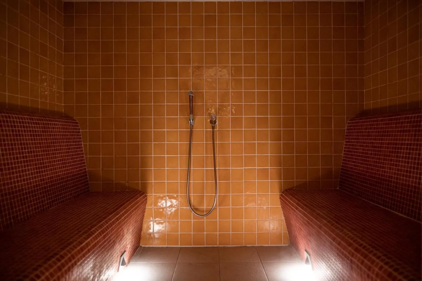 Steam room in Landpalais Goyenhof - Deluxe Suites & Breakfast