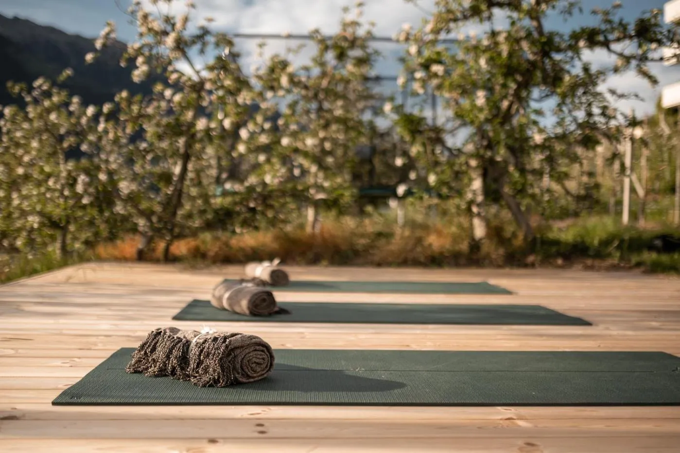 Spring in Landpalais Goyenhof - Deluxe Suites & Breakfast