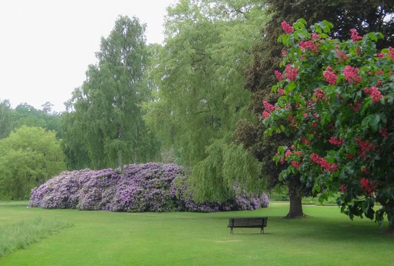 Day in Café Mandeltårtan B&B VillaFloraViola