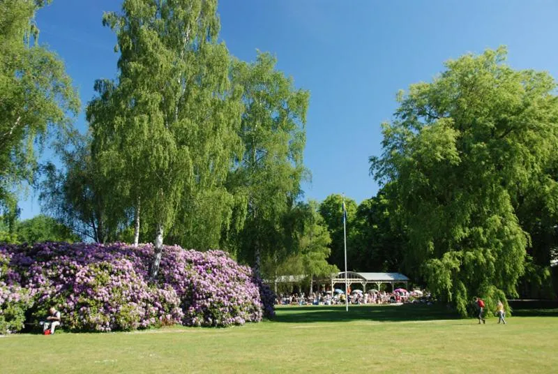 Day in Café Mandeltårtan B&B VillaFloraViola