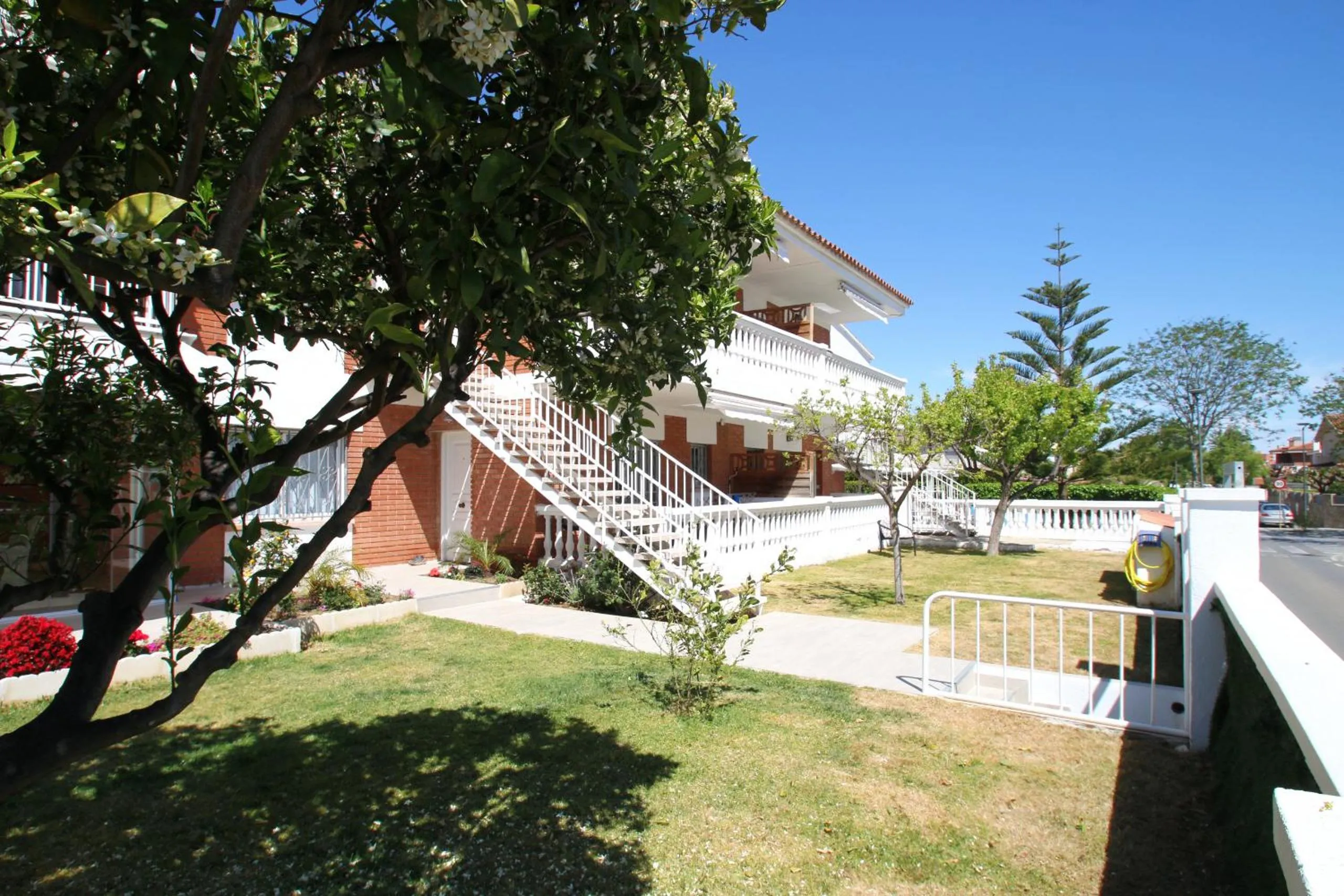 Patio in Casa Rosales 5