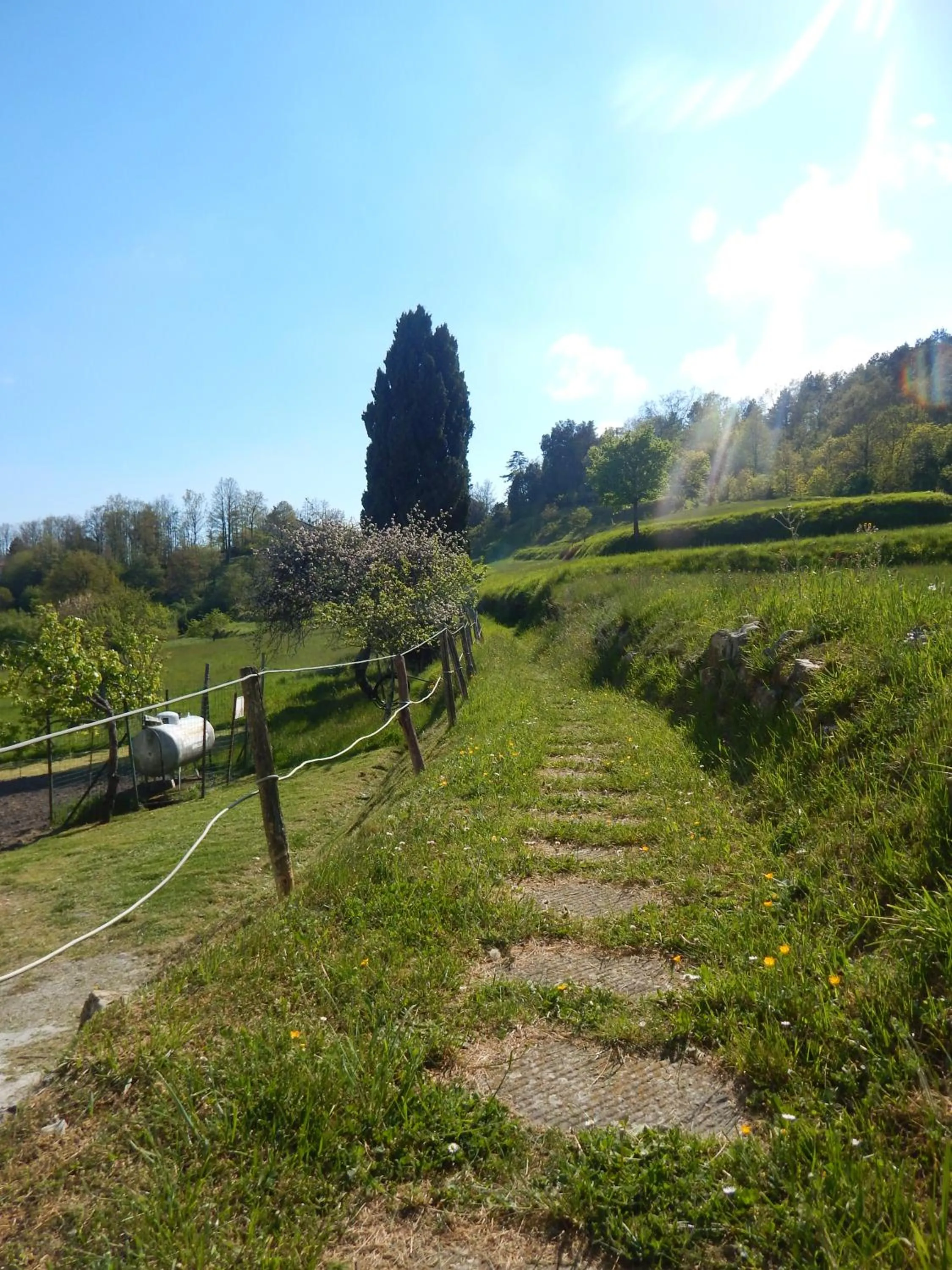 Natural landscape in Albergo La Veranda