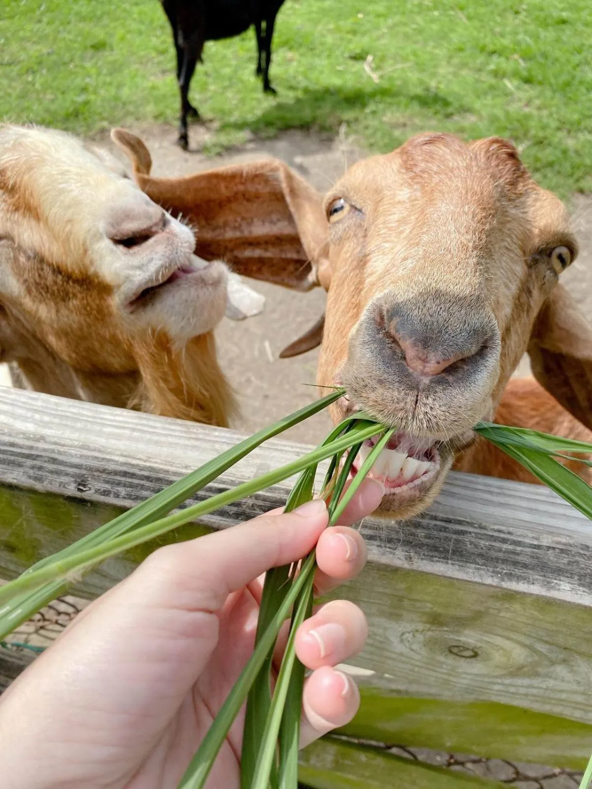 Kenting Tuscany Resort