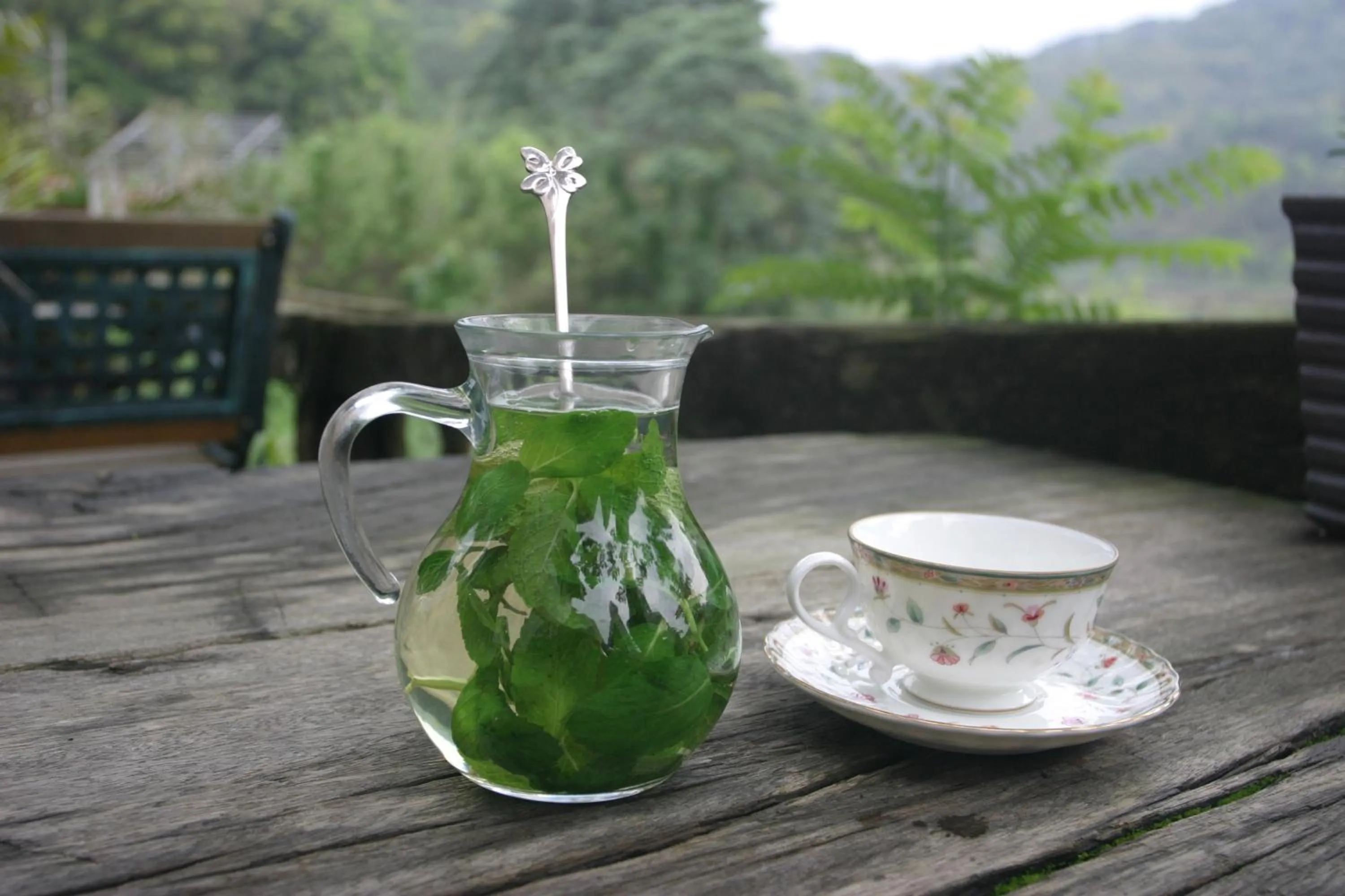 Restaurant/places to eat in Fennel Resort