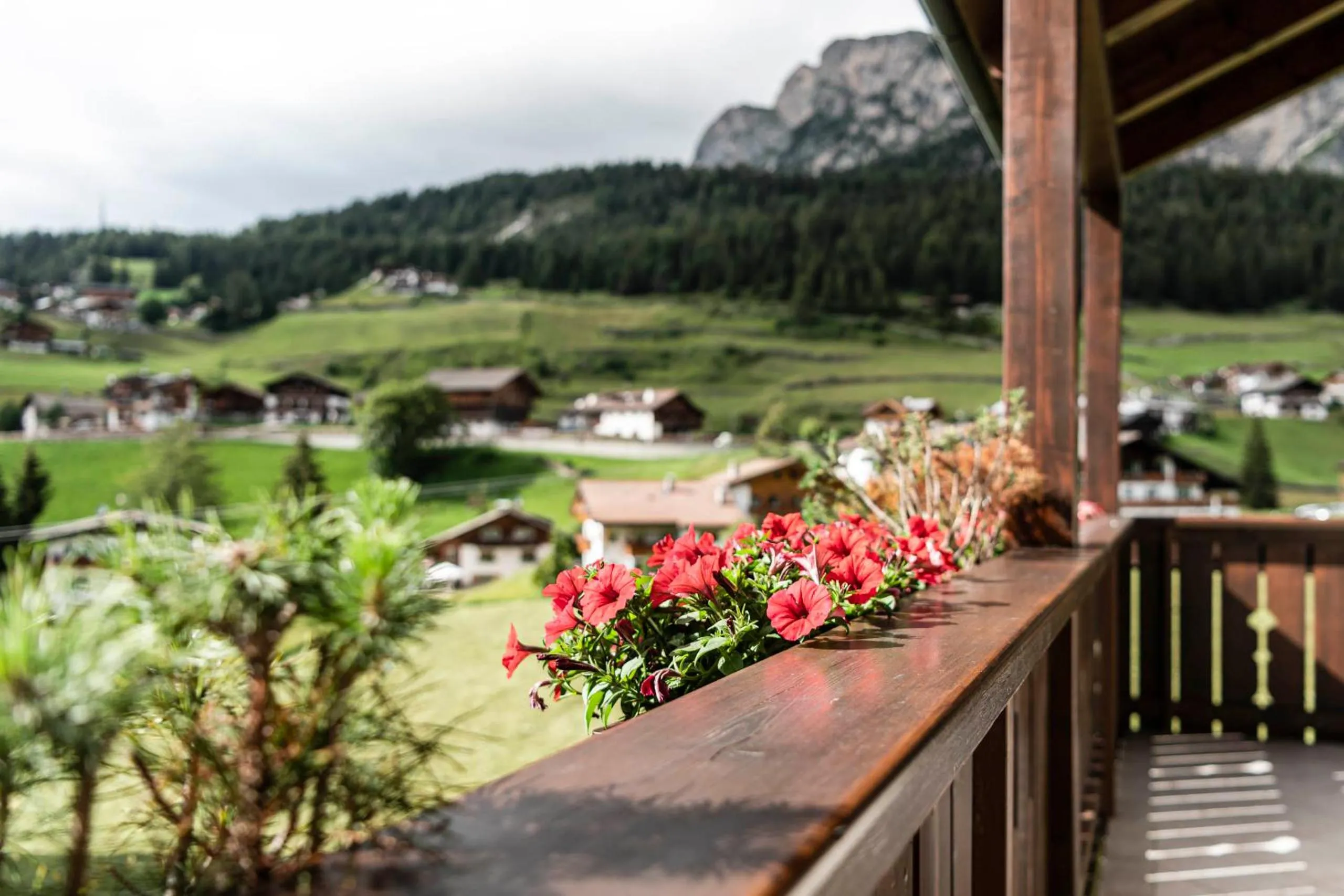 Summer in Residence Cesa Rives