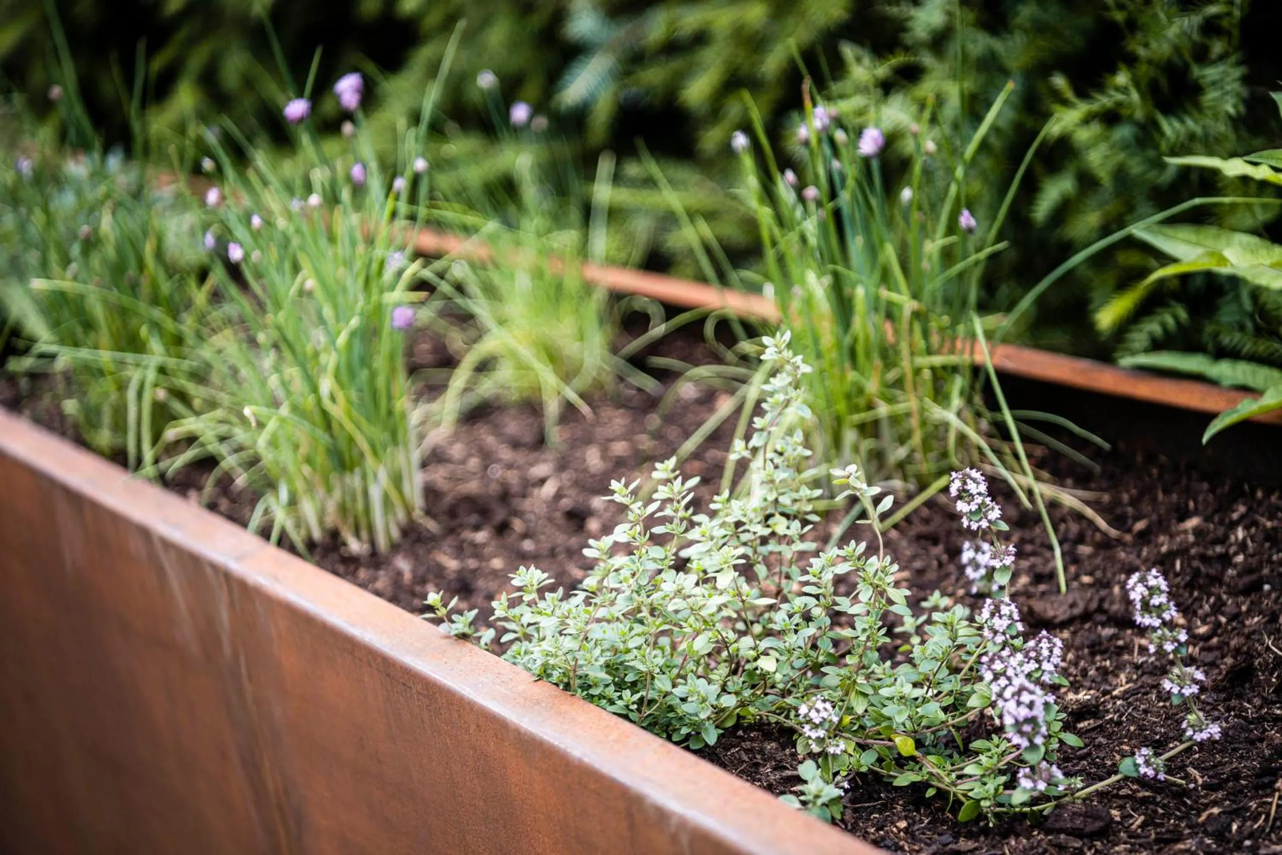 Natural landscape in Residence Cesa Rives