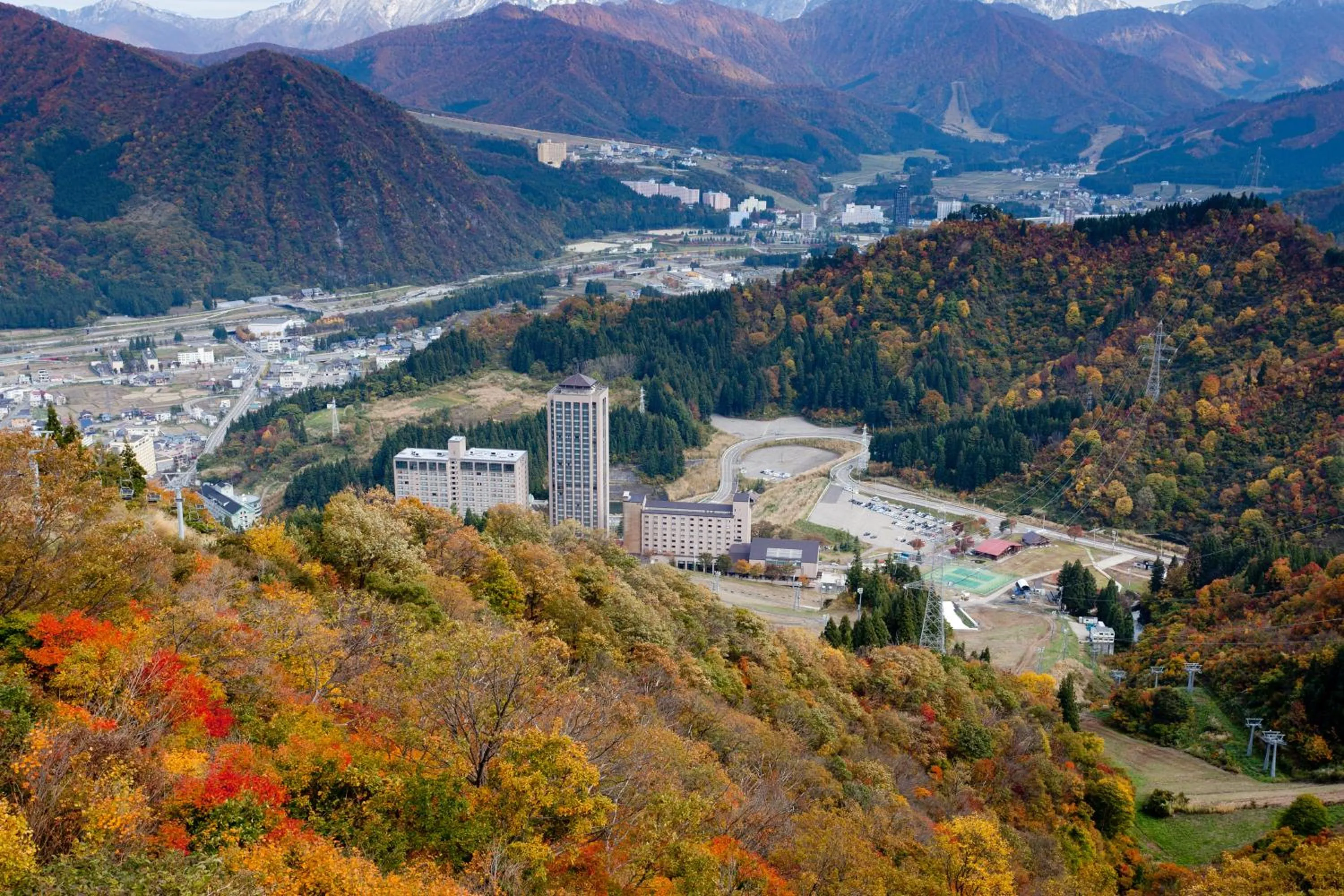 Bird's eye view in NASPA New Otani