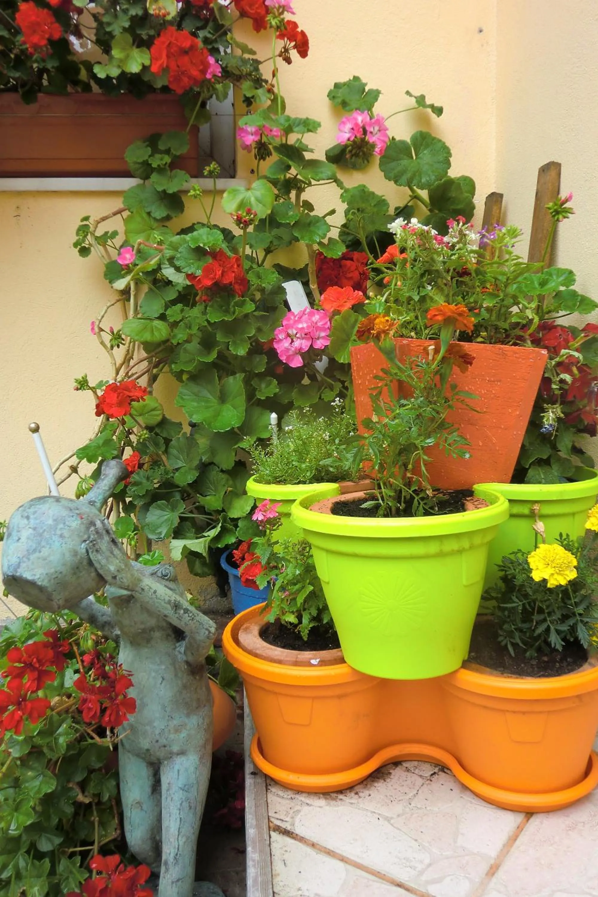 Garden view in Pension Casa Timar