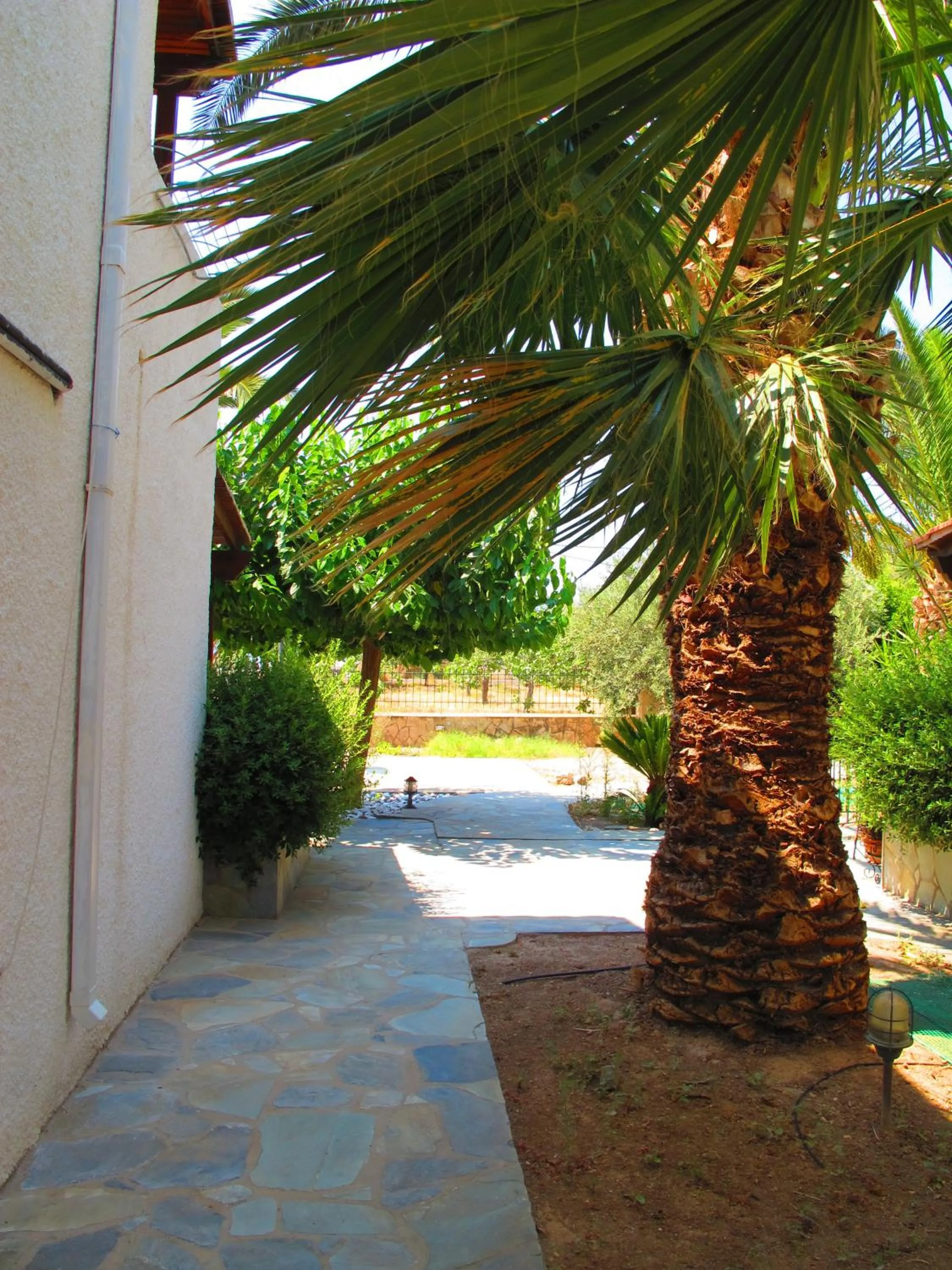 Garden in Stefanie Studios