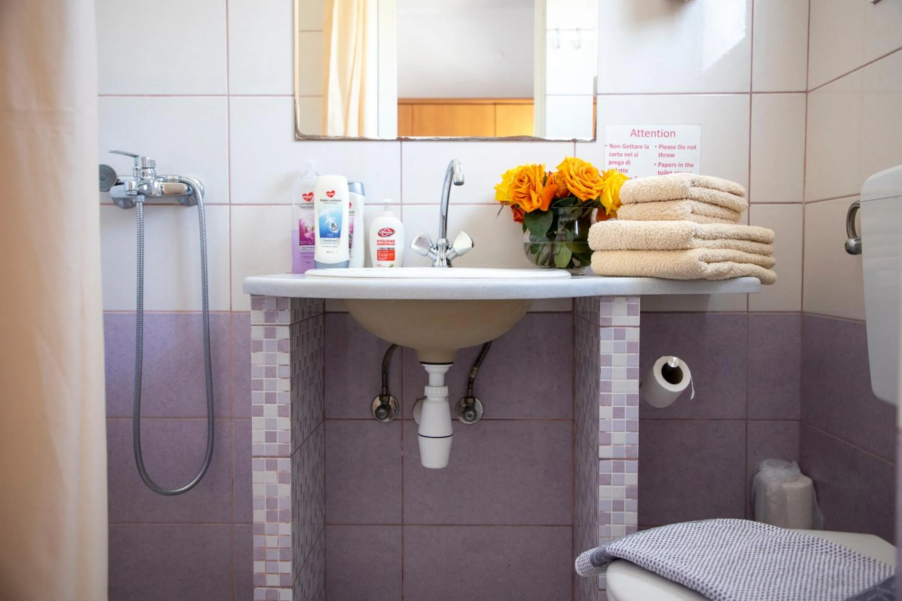 Bathroom in Stefanie Studios