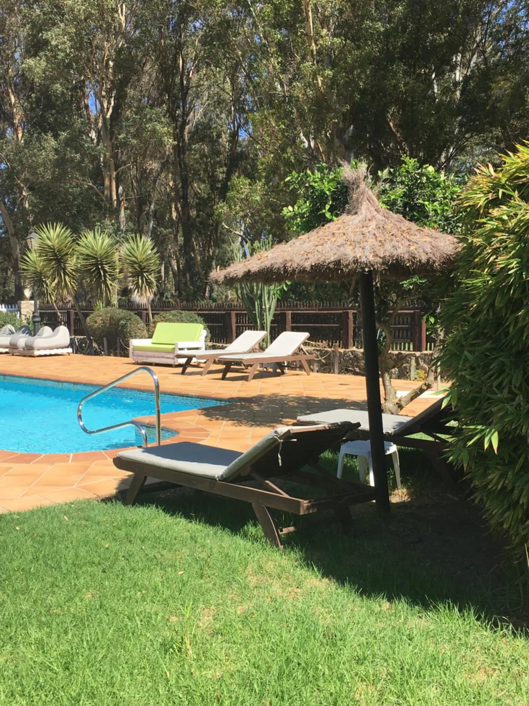 Swimming pool in Molino El Mastral