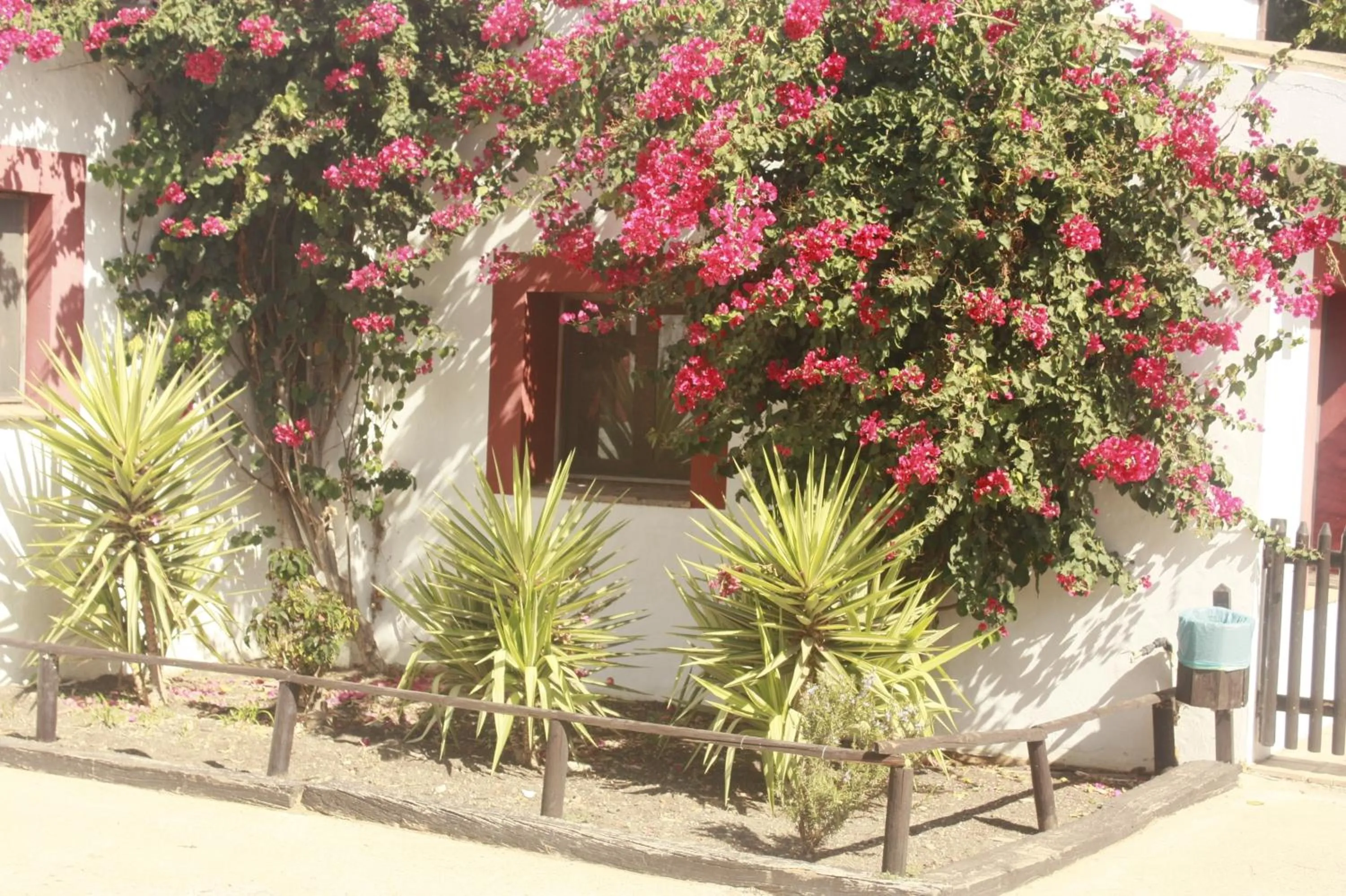 Garden in Molino El Mastral