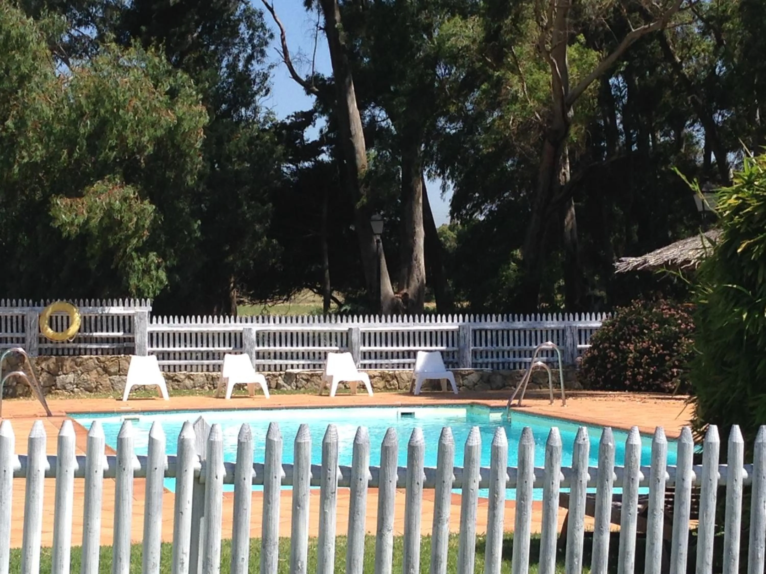Swimming pool in Molino El Mastral