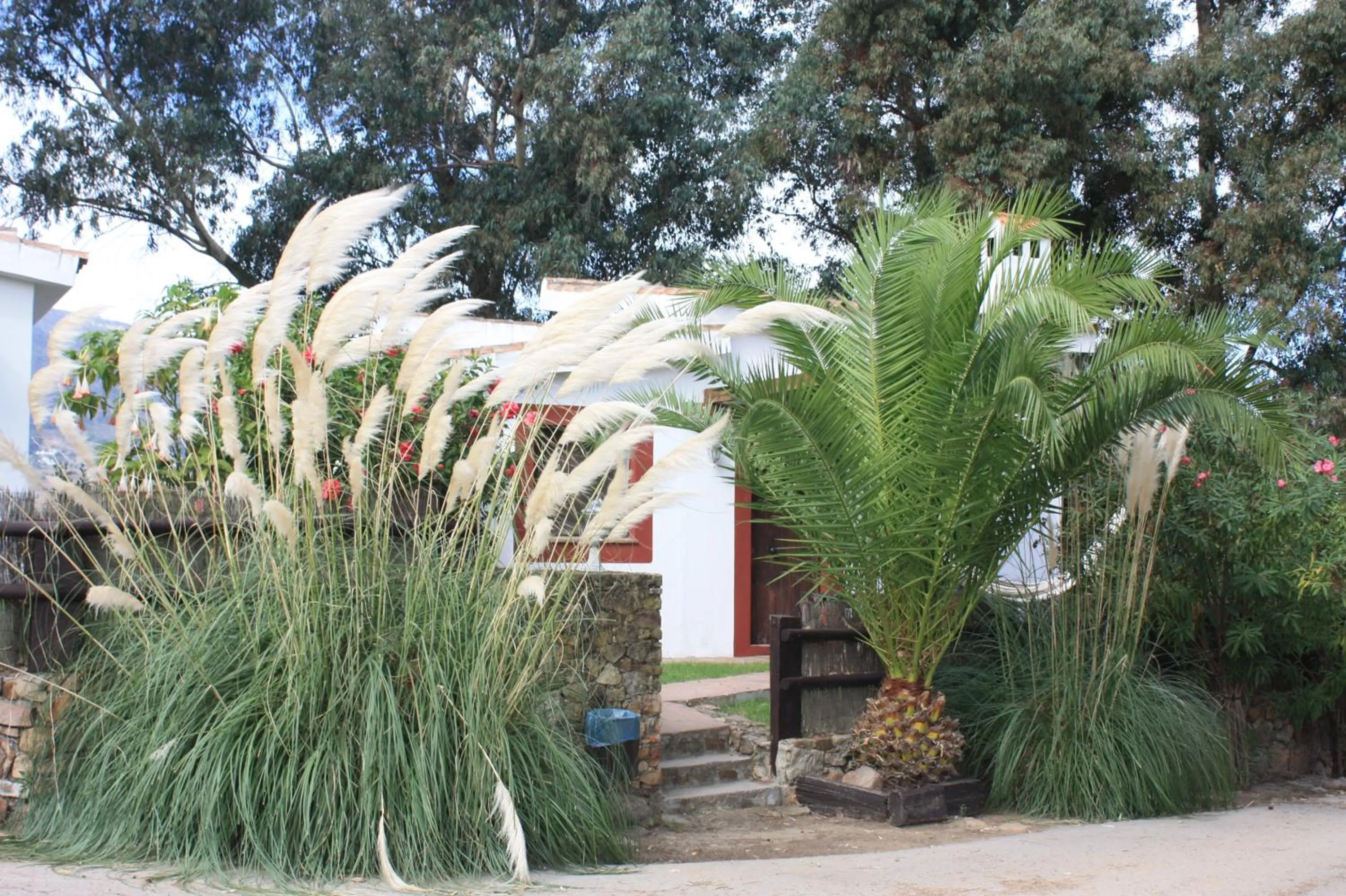 Natural landscape in Molino El Mastral