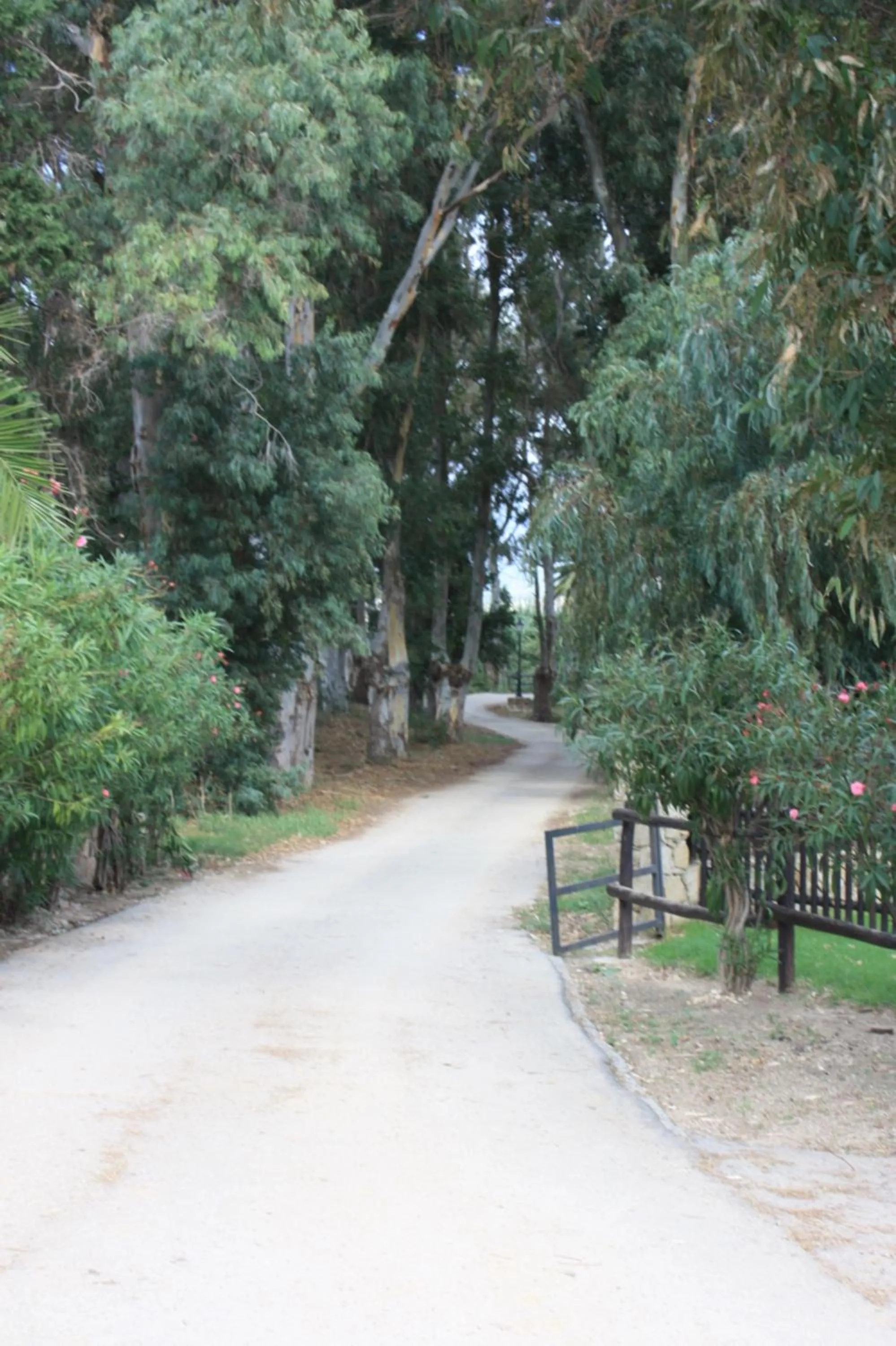 Natural landscape in Molino El Mastral