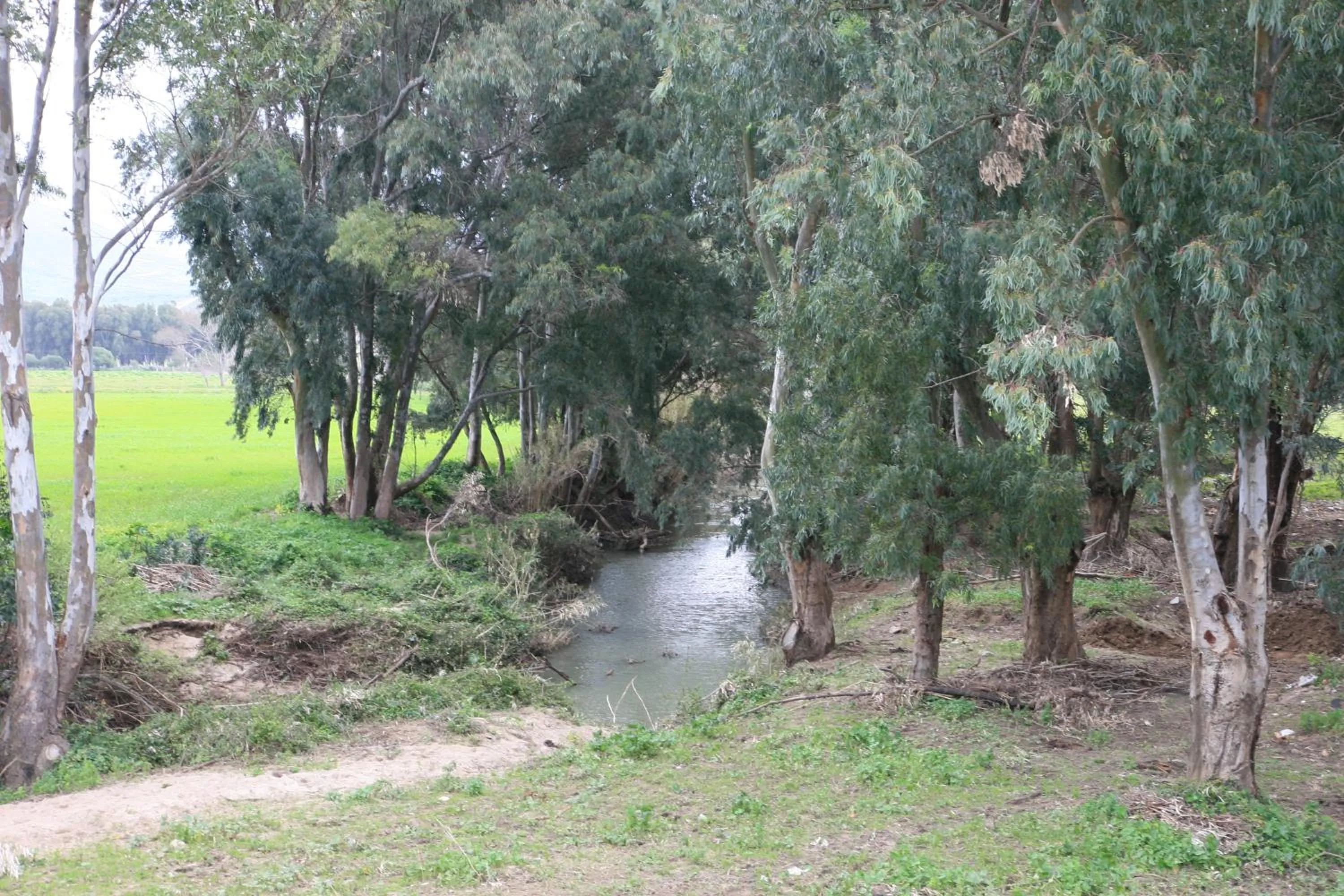 Natural landscape in Molino El Mastral
