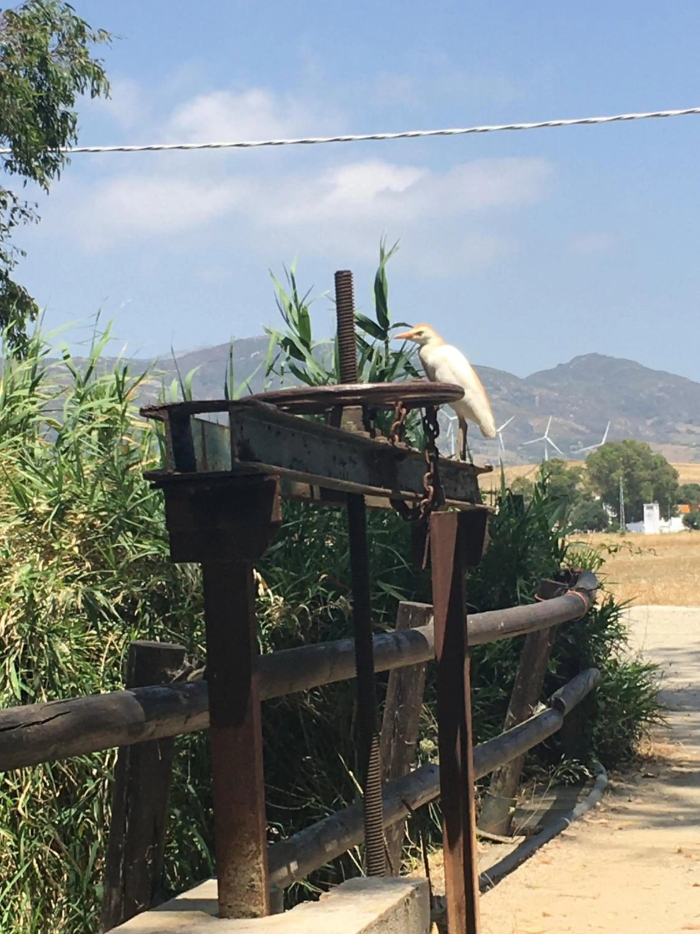 Area and facilities in Molino El Mastral