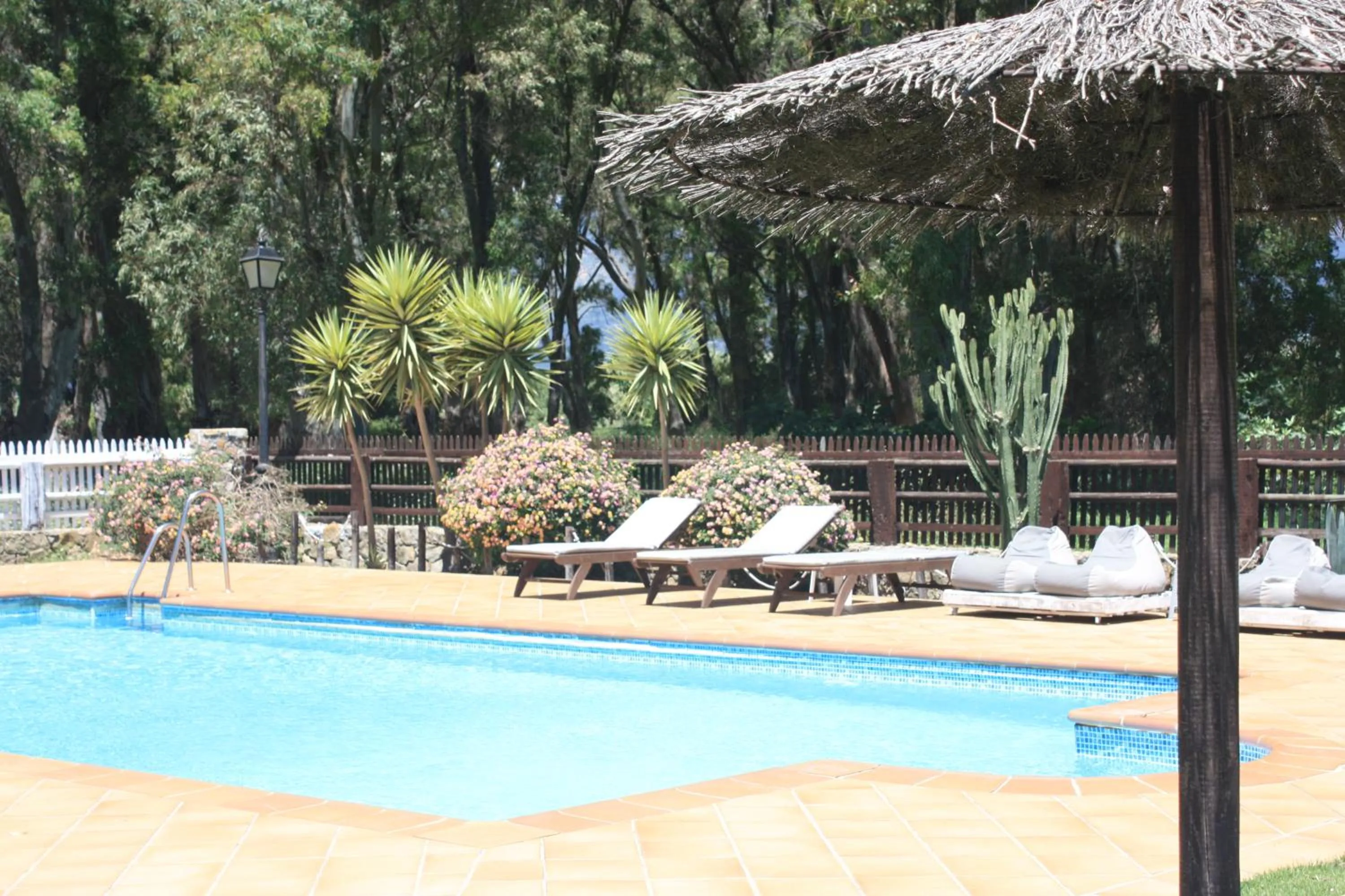 Swimming pool in Molino El Mastral
