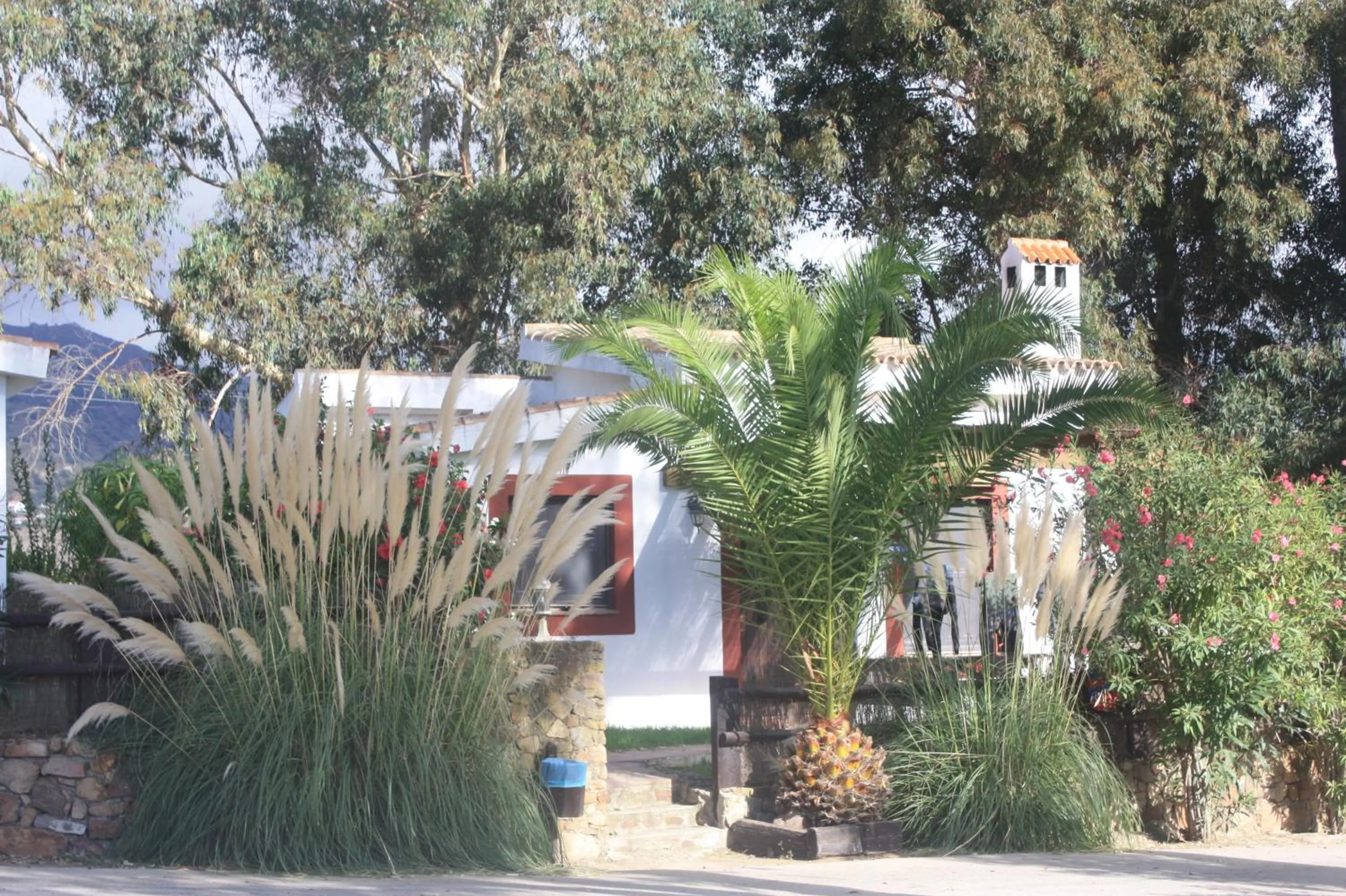 Facade/entrance in Molino El Mastral