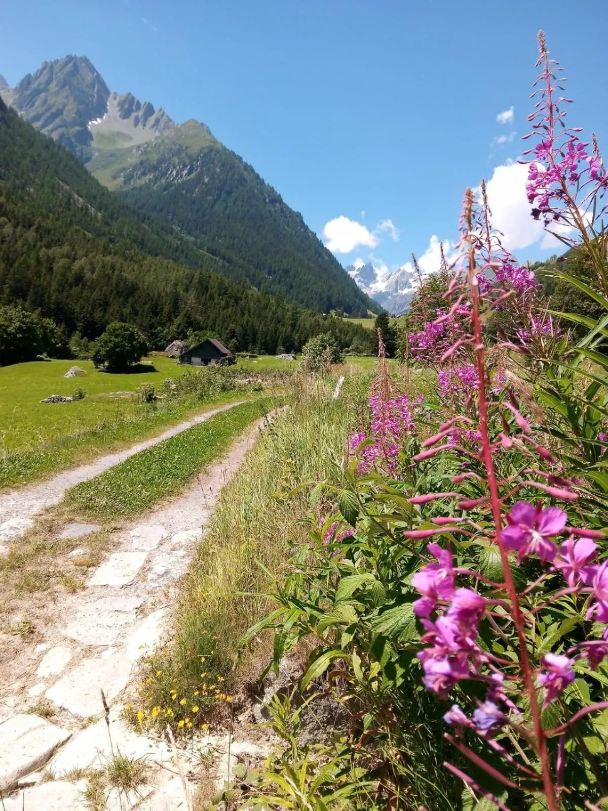 Nearby landmark in Gotthard Backpacker