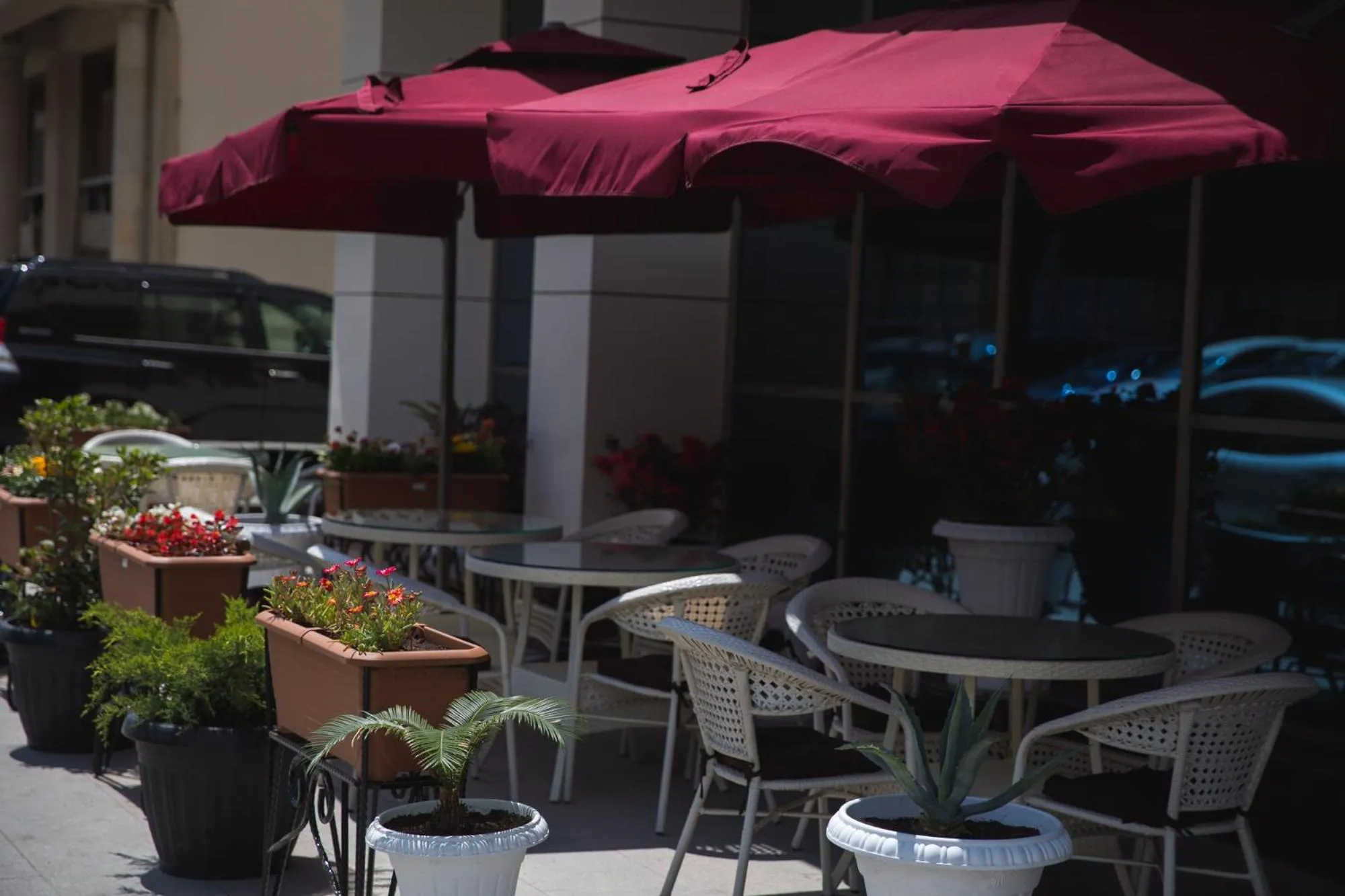 Restaurant/places to eat in West Shine Hotel